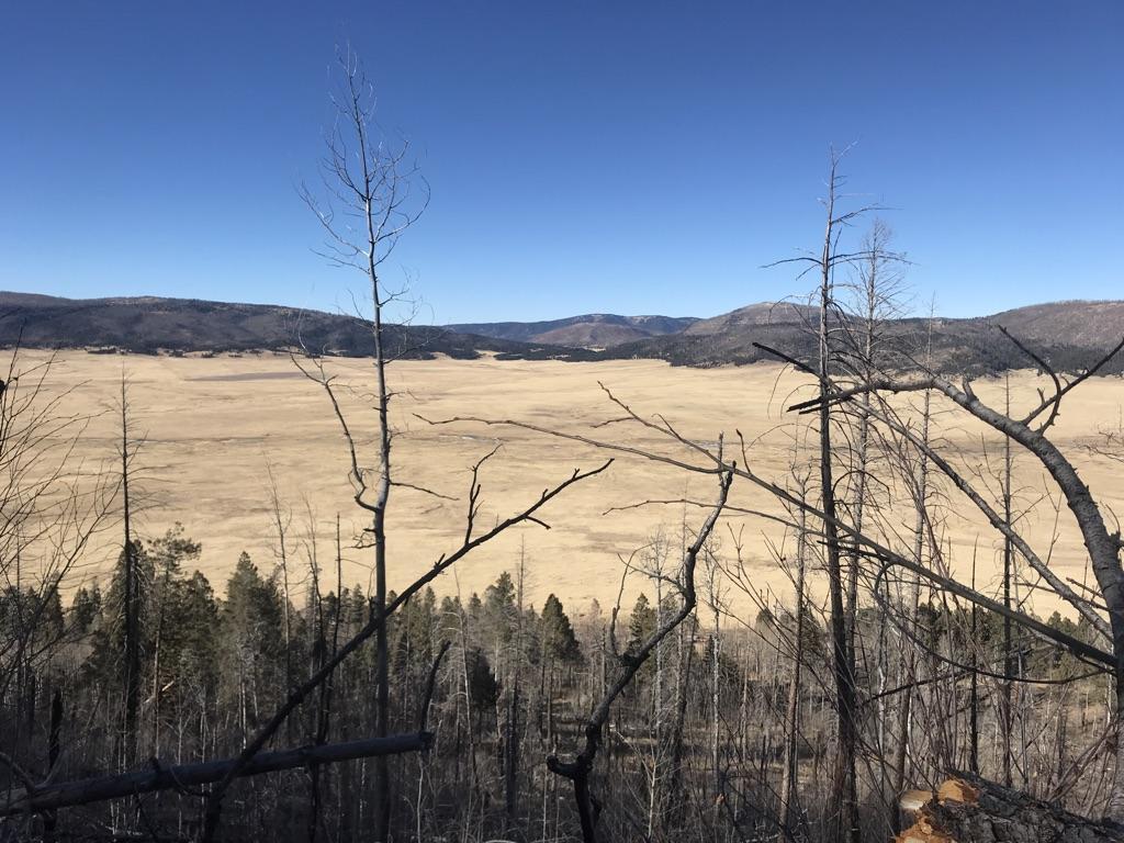 Wide golden valley viewed through bare trees on a clear day.