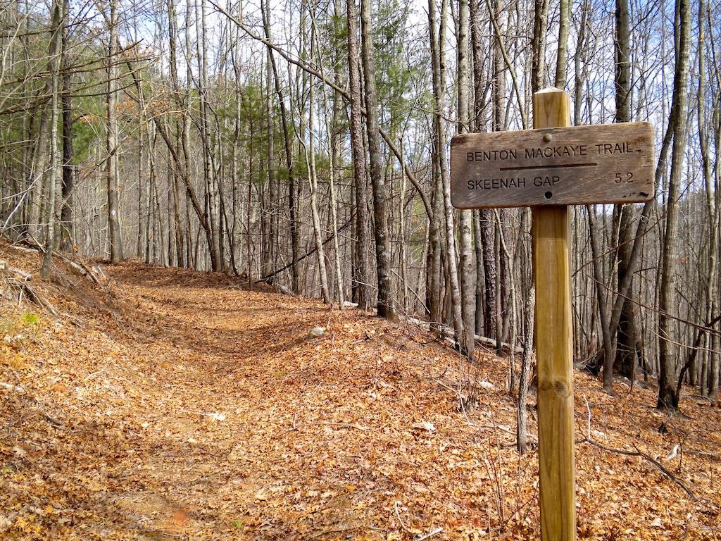 A wooden trail sign stands beside a leaf-covered path in a bare forest.