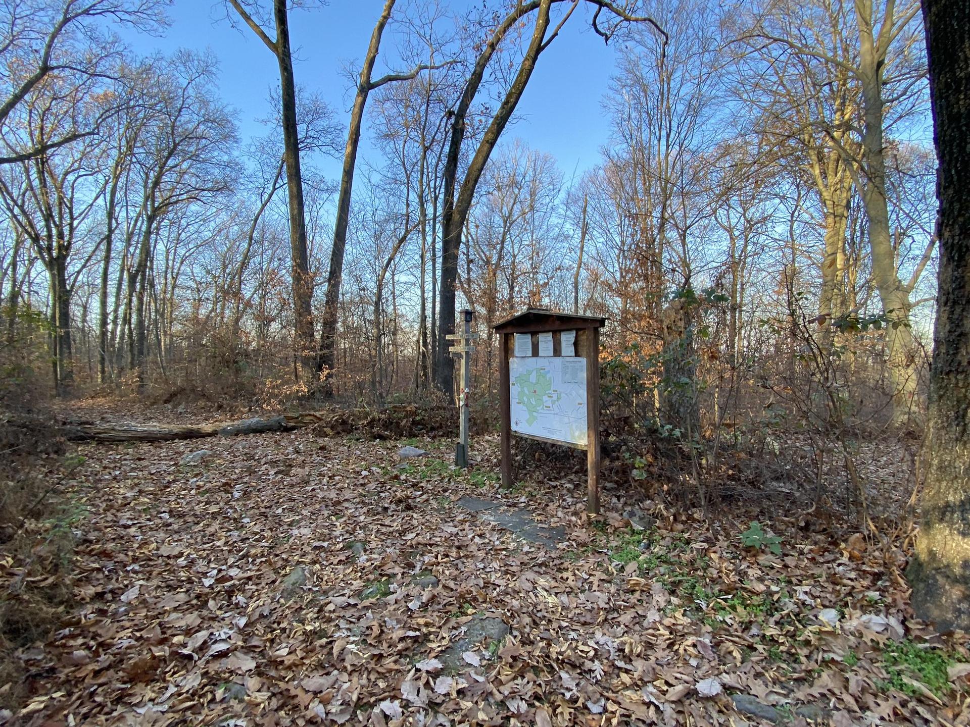 A trailhead sign stands on a leaf-covered path surrounded by bare trees.