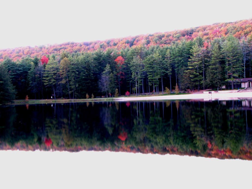 Serene lake reflecting a colorful autumn forest and a small building.