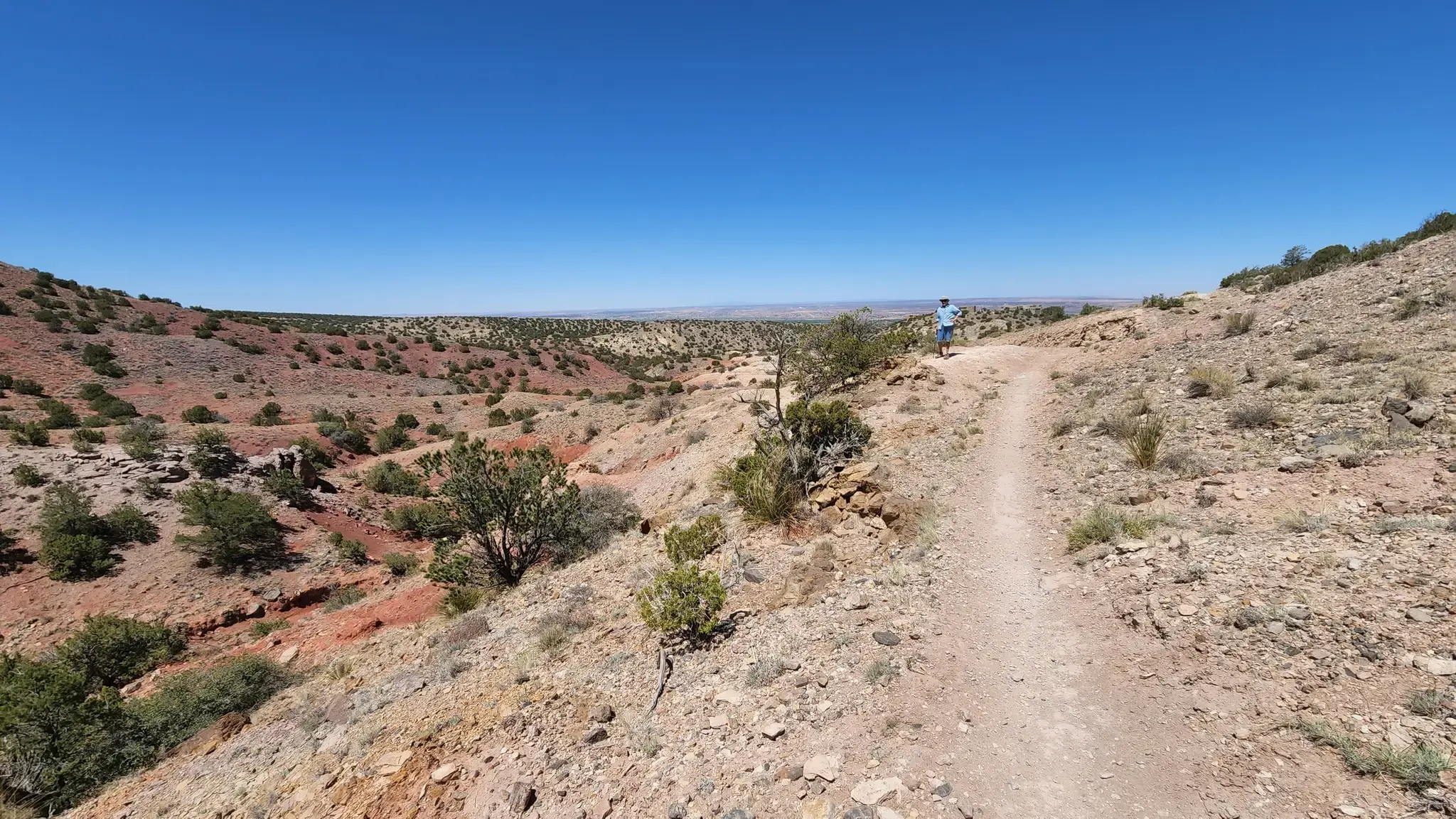 A person walks a winding dirt trail through a sunny desert canyon.