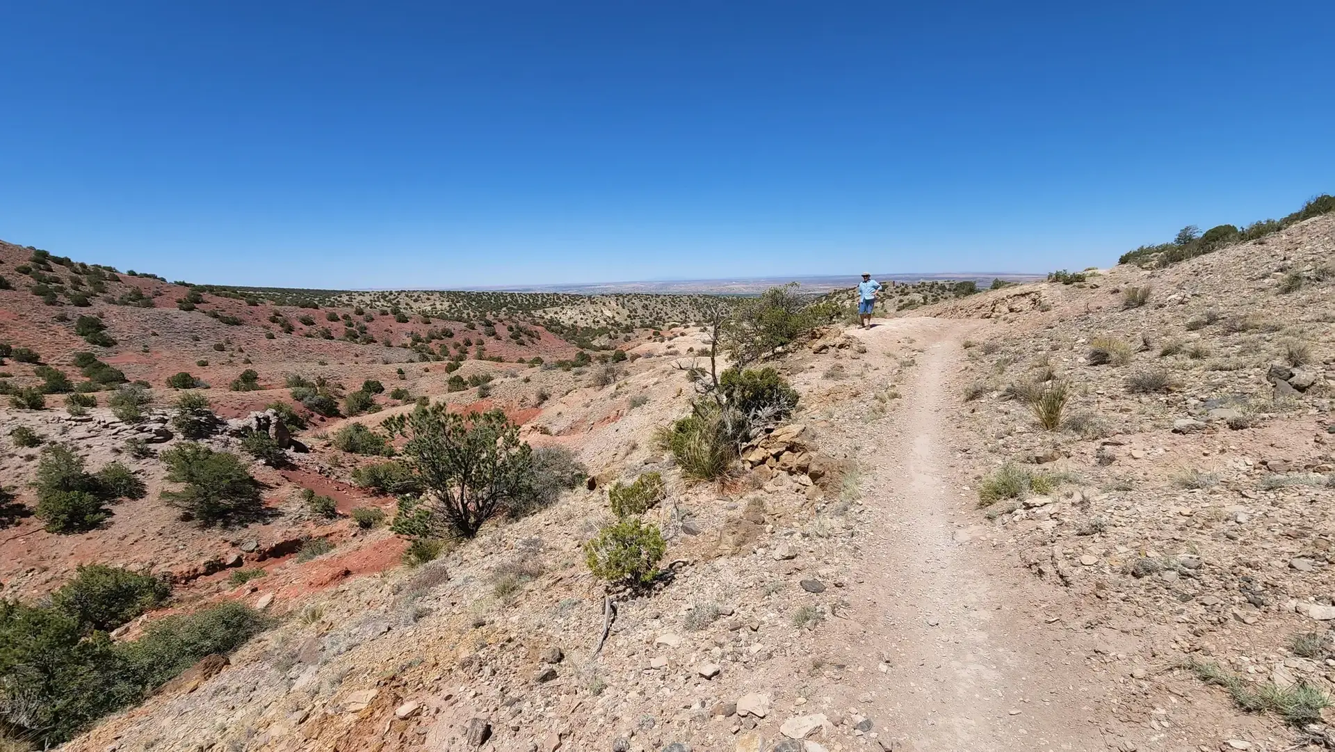 A person walks a winding dirt trail through a sunny desert canyon.