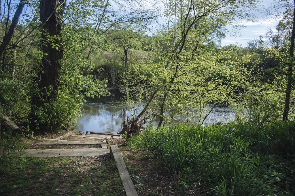 Wooden steps lead to a calm river surrounded by green forest on a sunny day.
