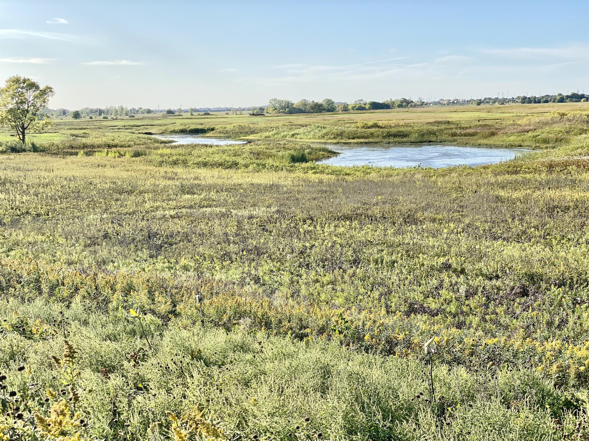 Expansive grassy field with two small ponds under a bright sky.
