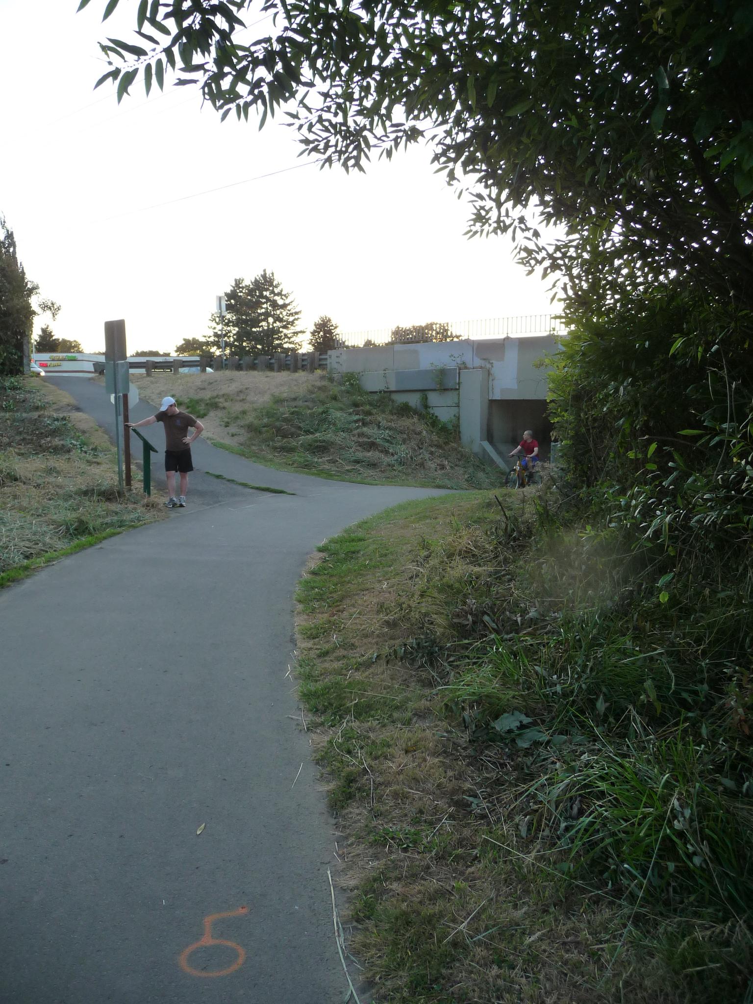 A paved path with people, an underpass, and green foliage under soft light.