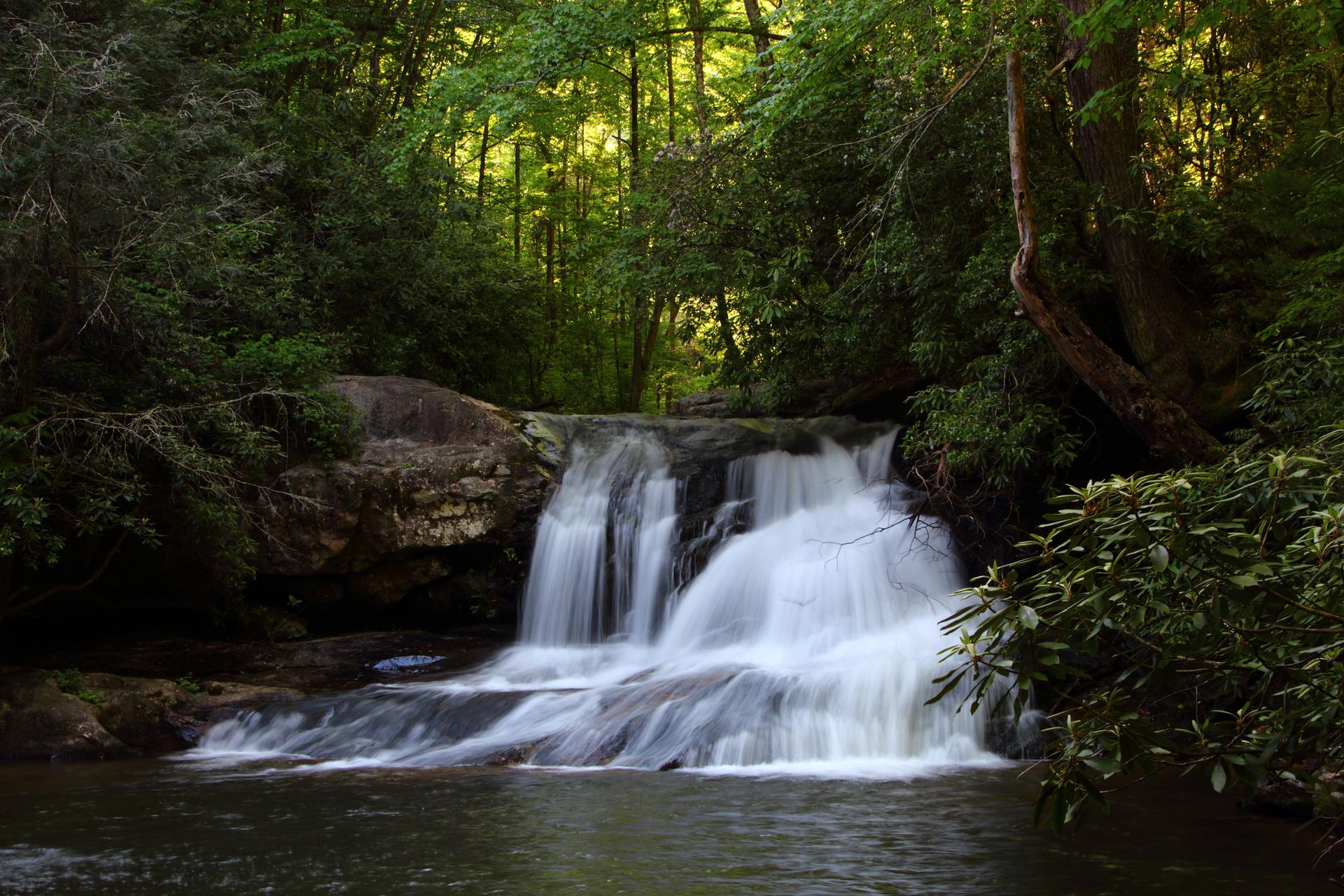 A wide waterfall cascades into a dark pool within a dense, shaded forest.