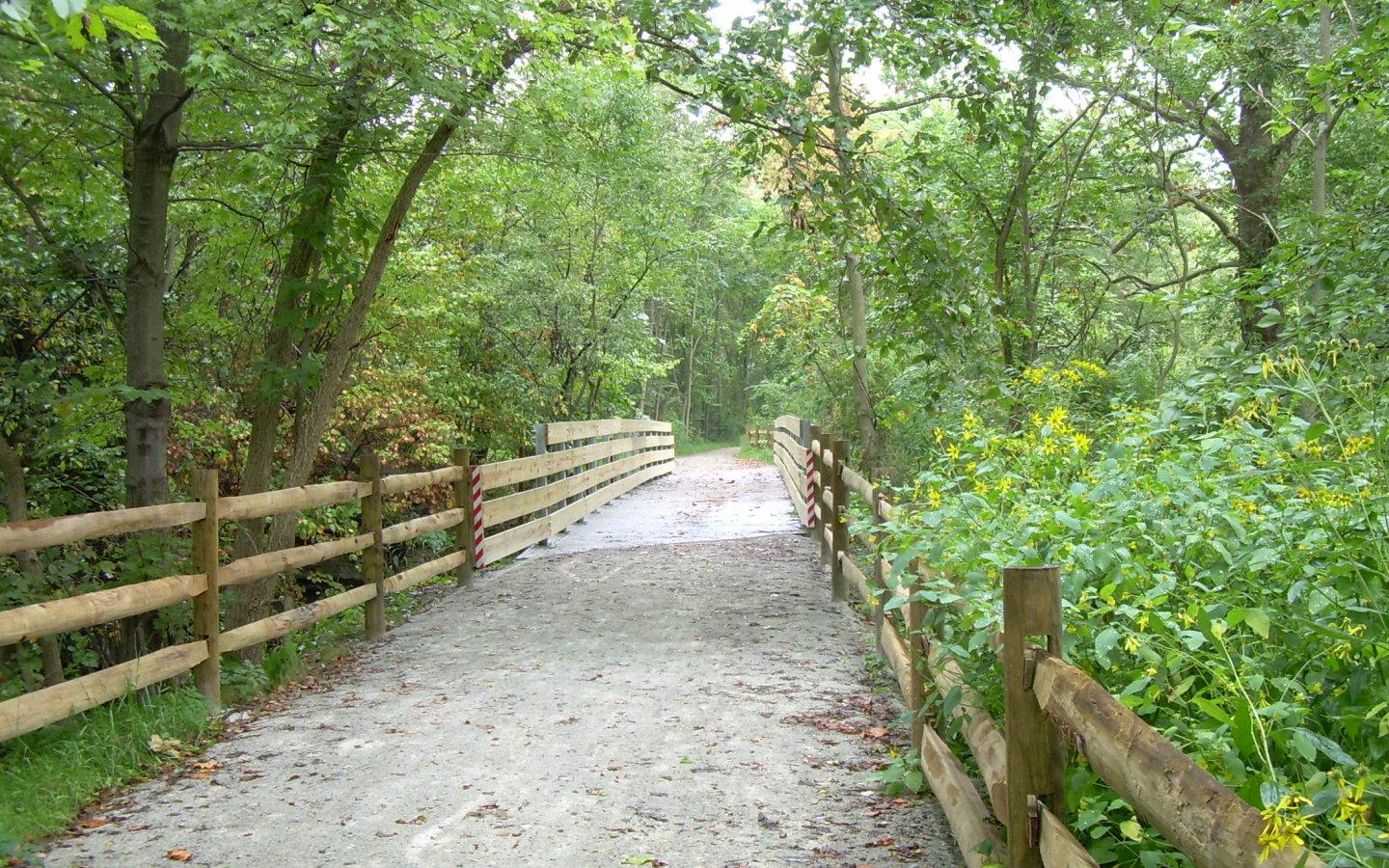 A dirt path with wooden fences leads to a bridge through green woods.