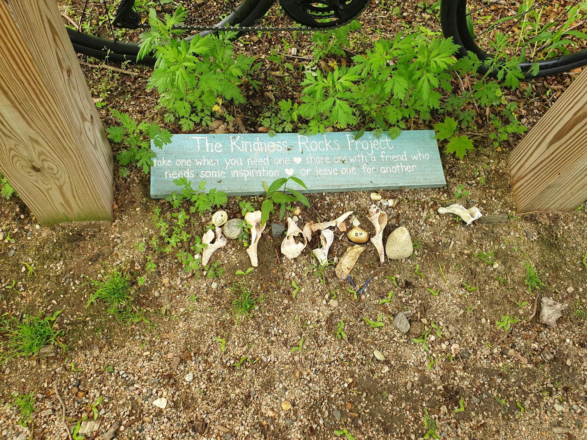 A light blue sign on the ground surrounded by small plants and bones.