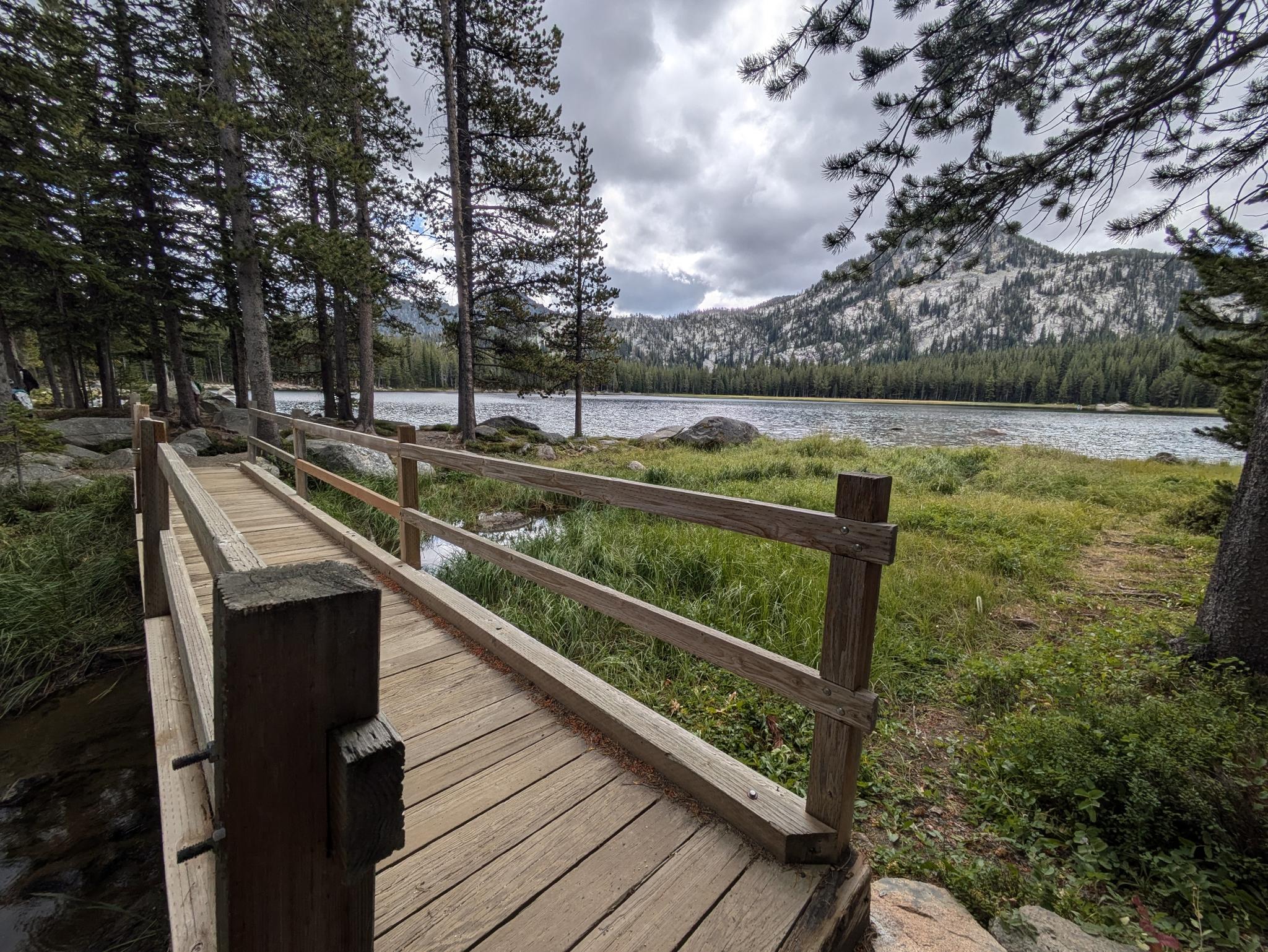 Wooden bridge leads to a grassy path beside a lake and pine forest.