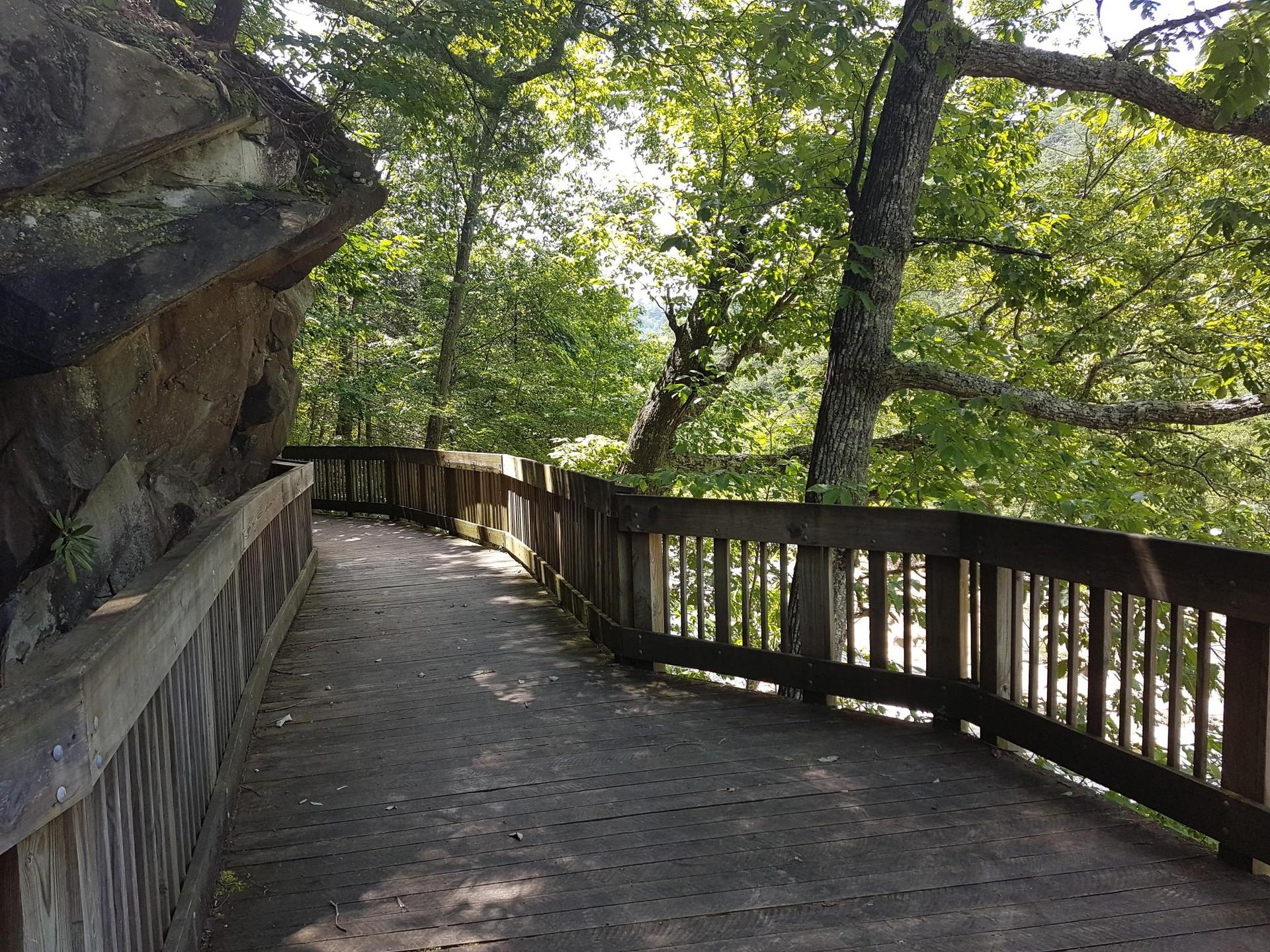 Curved wooden boardwalk next to a rock face in a sunny forest.