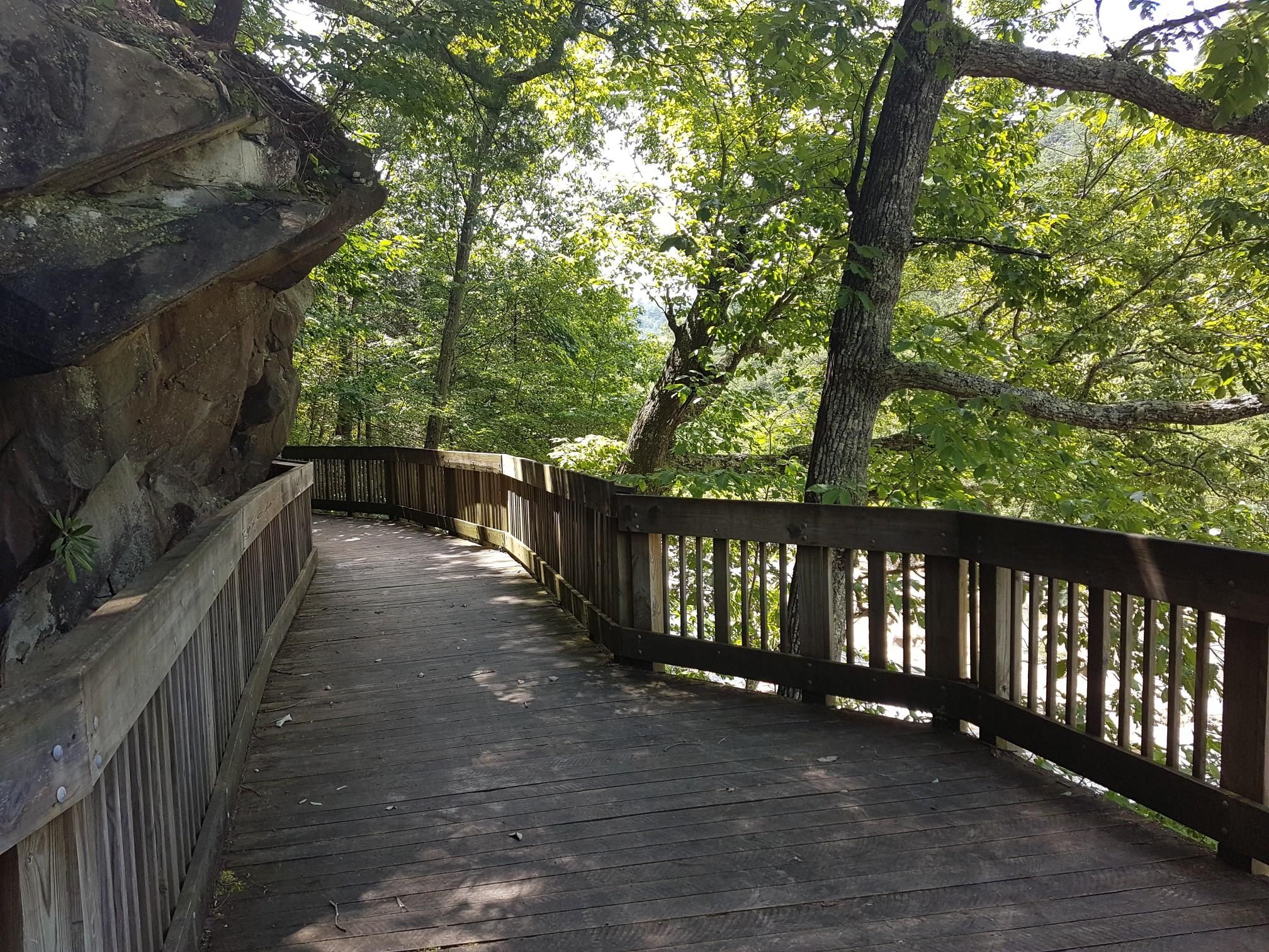 Curved wooden boardwalk next to a rock face in a sunny forest. - Boardwalk loop from Ocoee Number Three Lake