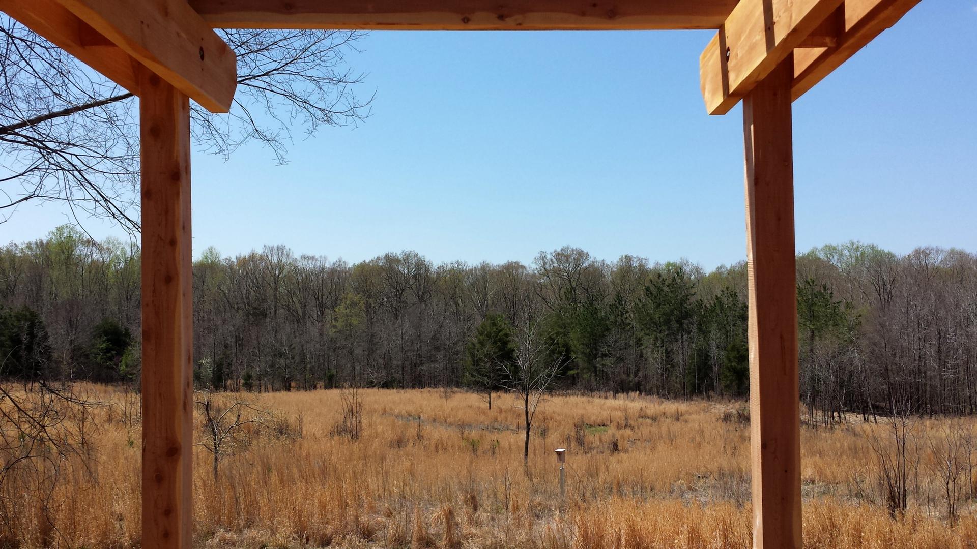 View through a wooden frame of a sunny field and distant forest.