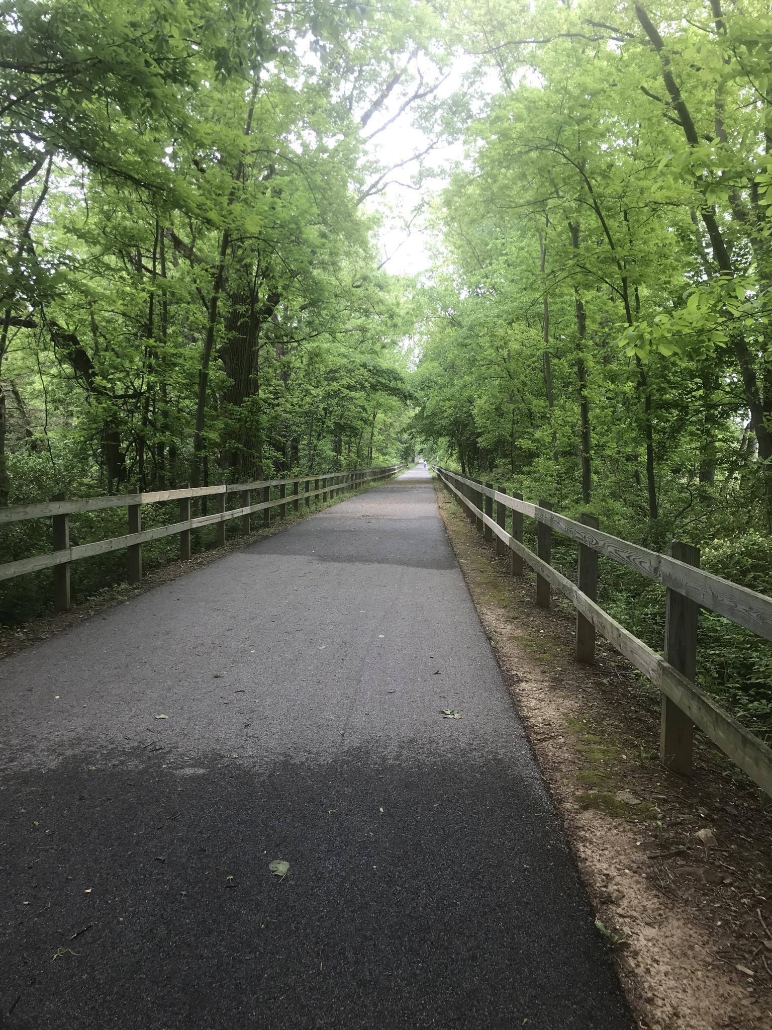 A paved path with wooden fences, surrounded by dense green trees.