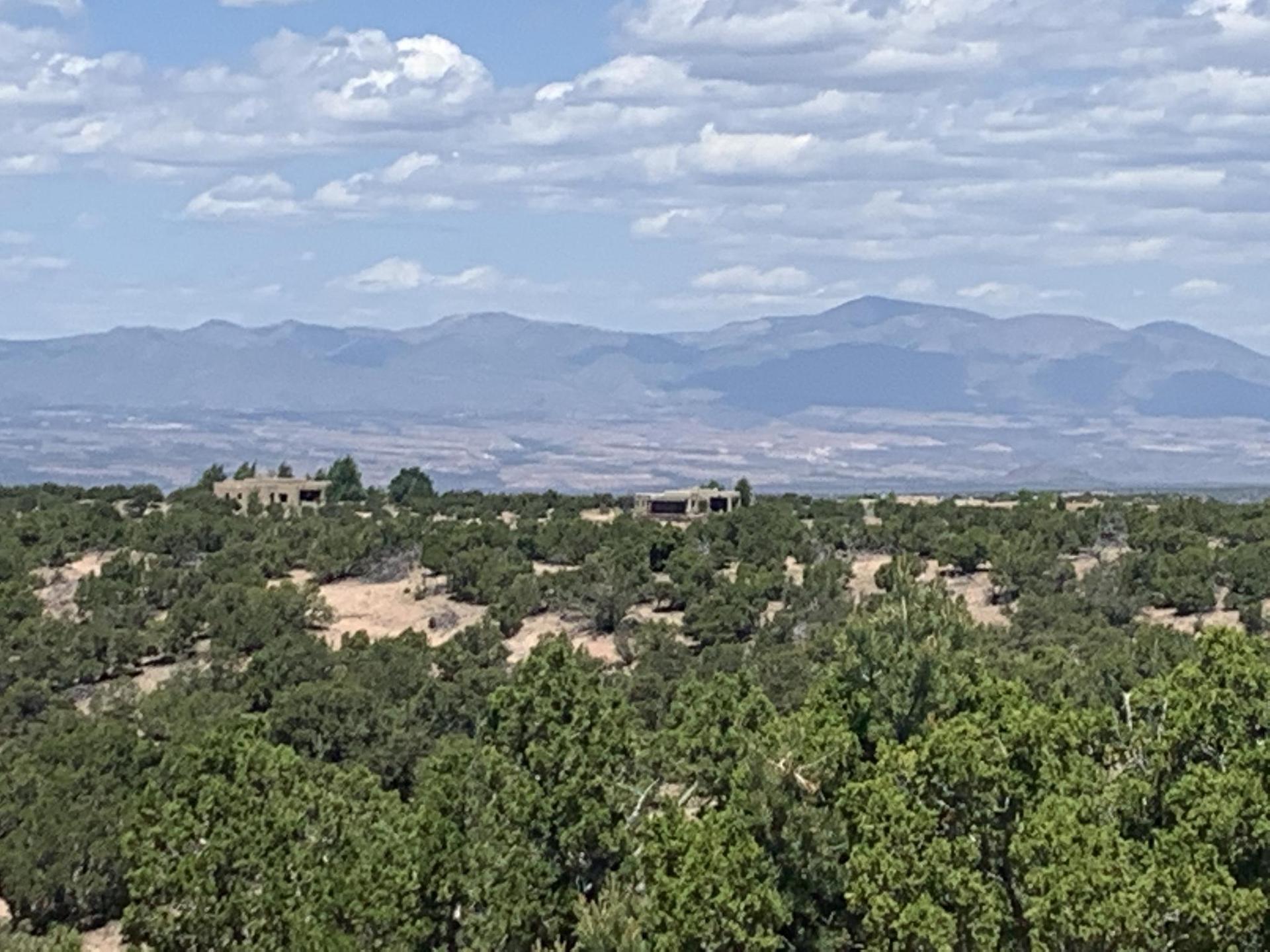 Vast landscape with green trees in foreground, distant mountains under a cloudy sky.