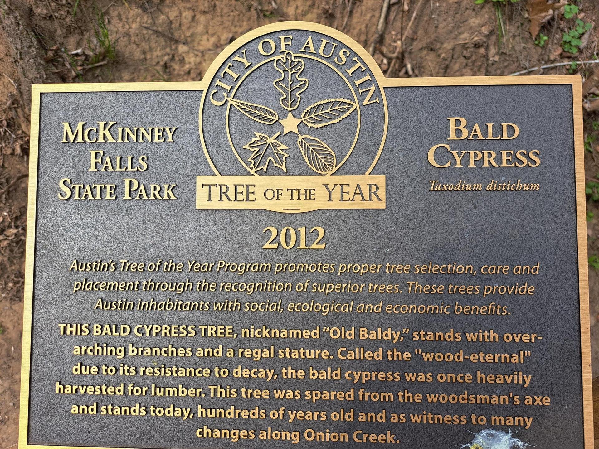 A bronze plaque with a circular emblem on a dirt ground.