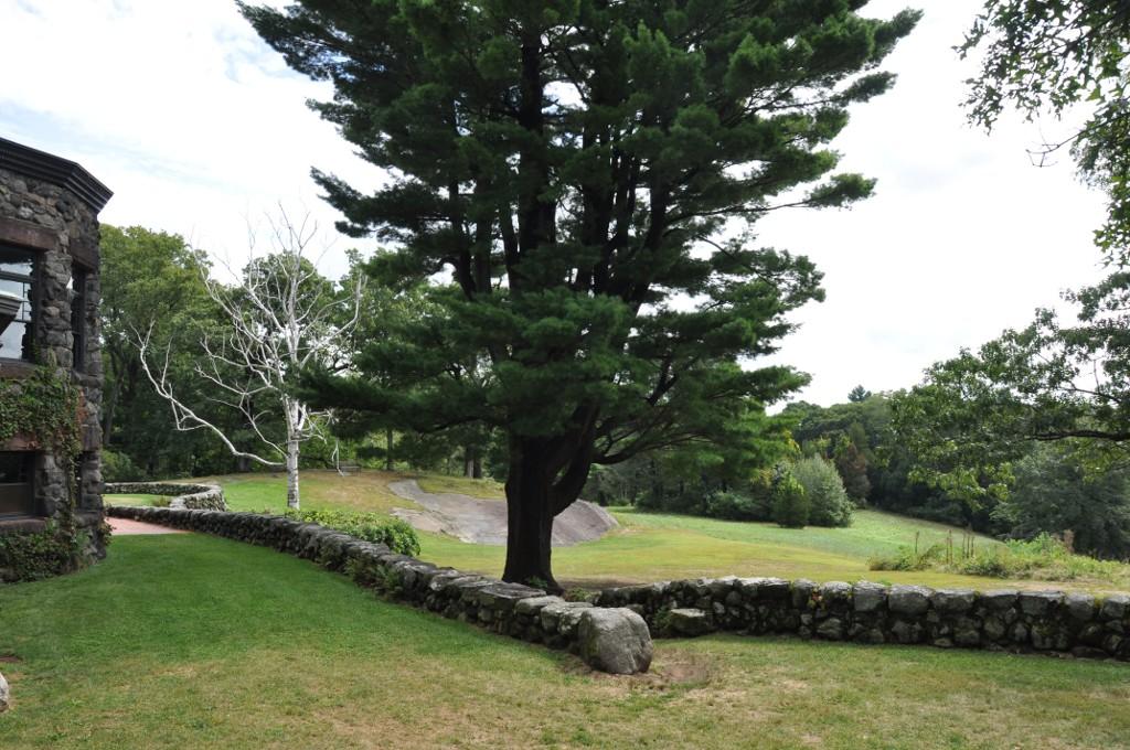 Large pine tree next to a stone wall and building on a green lawn.
