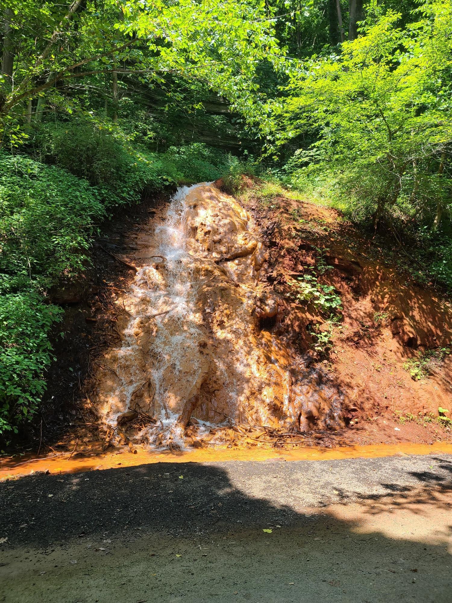 Brightly lit waterfall over orange-brown earth, surrounded by lush green foliage.
