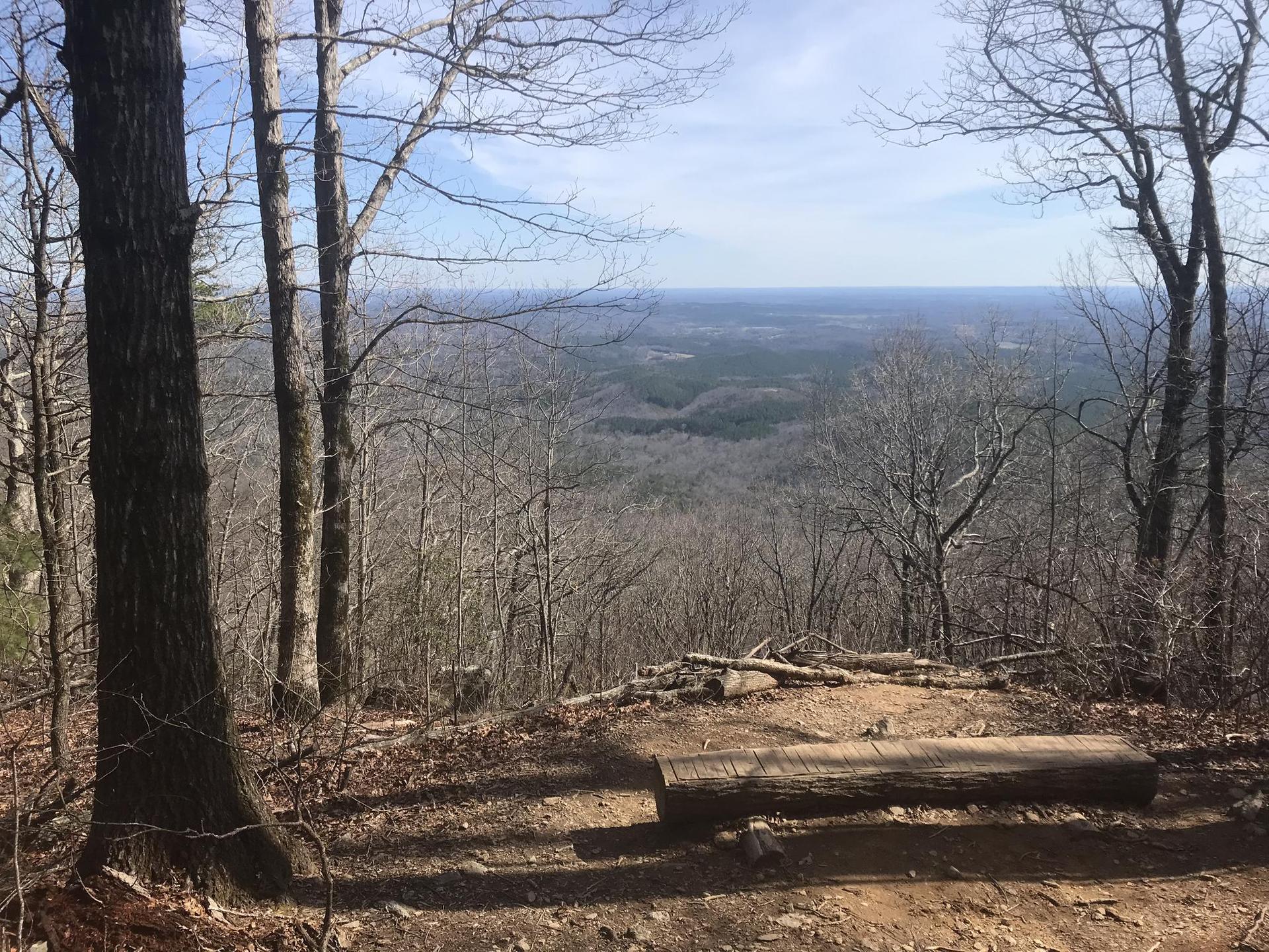 A log bench overlooks a vast, hazy, bare forest landscape on a sunny day.