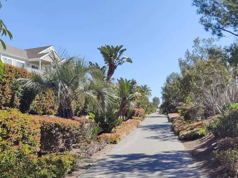 palm-tree-passage-road-cycle-routes-and-map-komoot