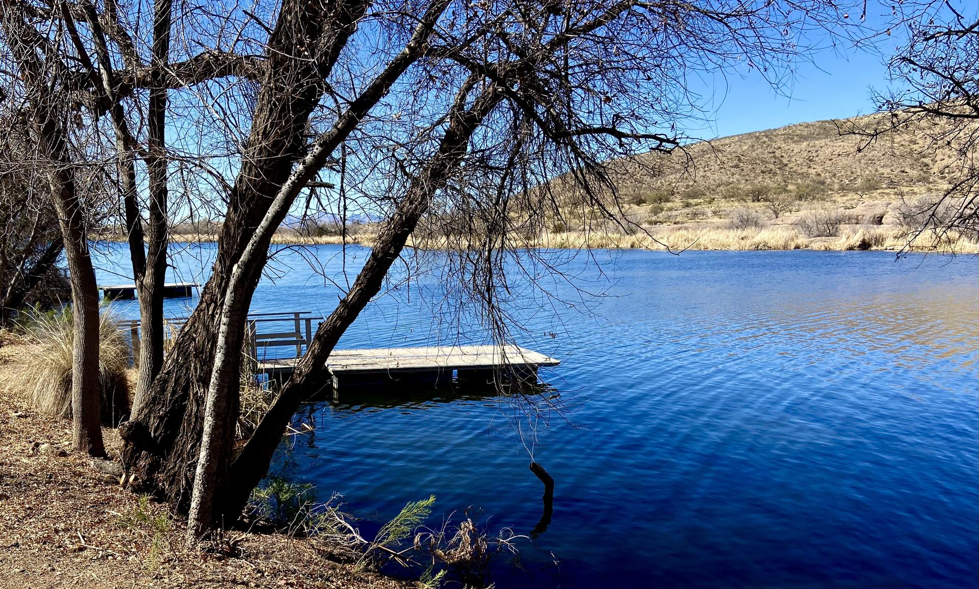 Bare trees frame a blue lake with a wooden dock under a clear sky.