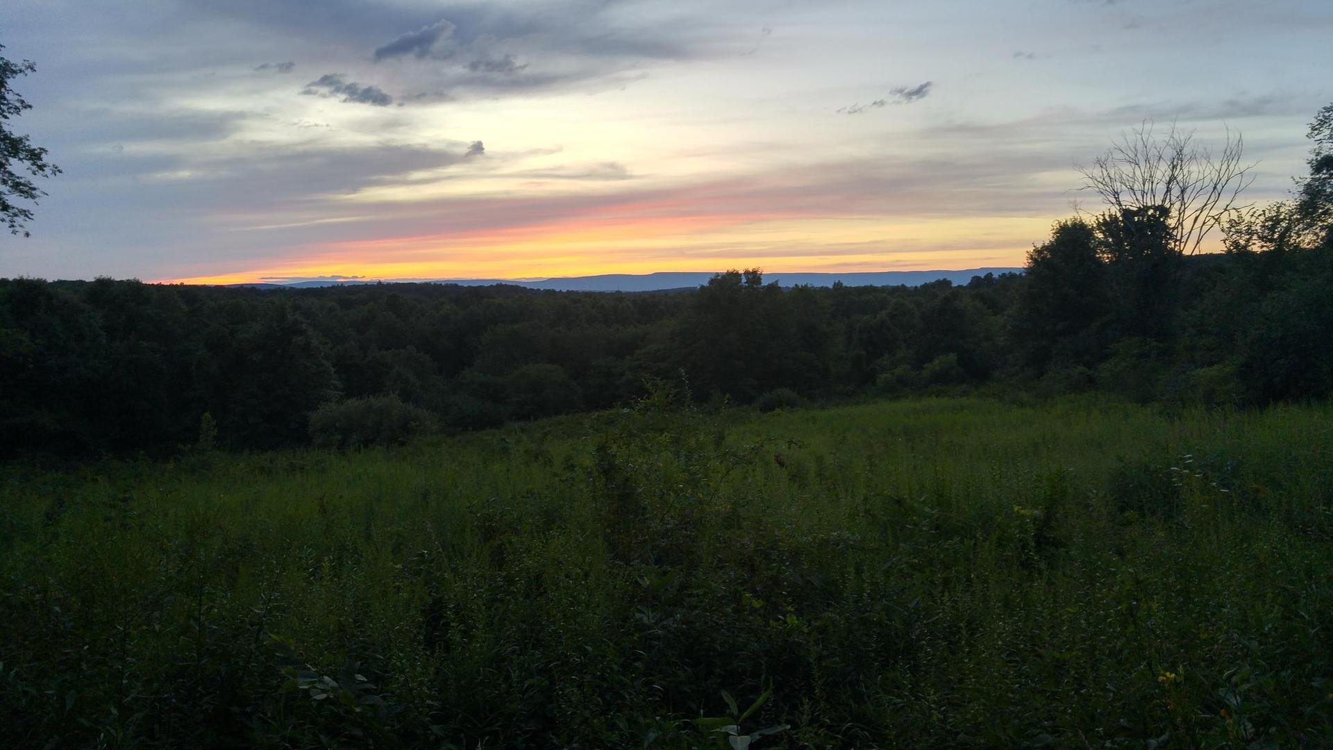 A wide grassy field overlooks a dark forest under a colorful sunset sky.