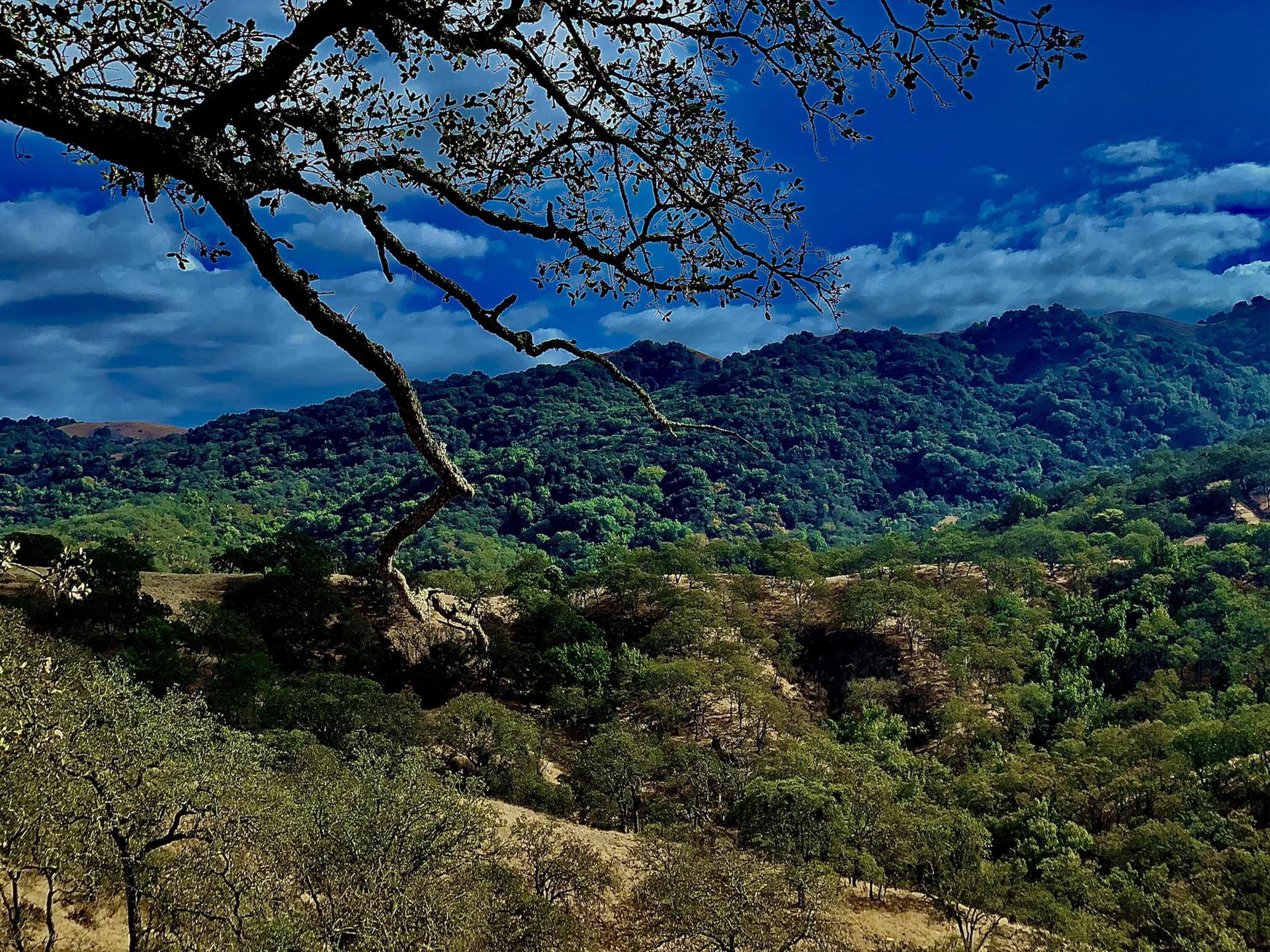 Dramatic view of lush green mountains under a vibrant blue sky.