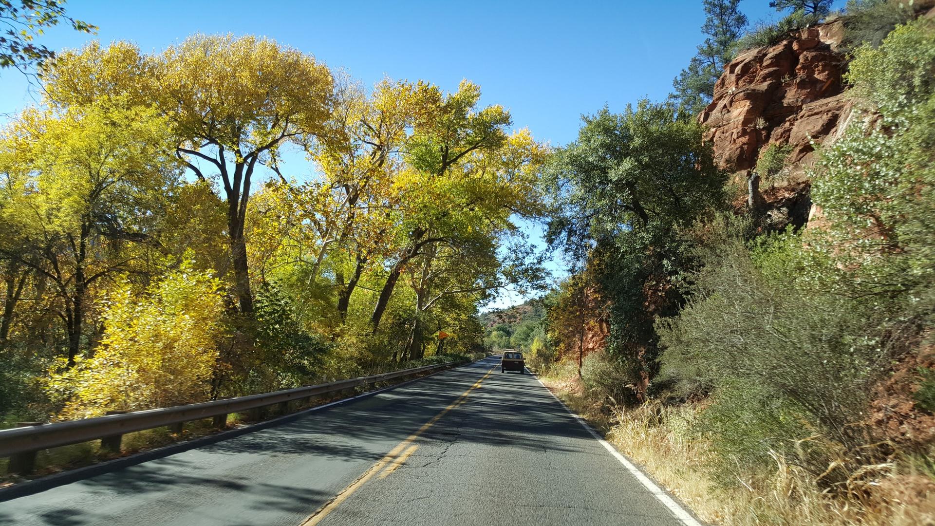 A paved road winding through a forest with vibrant yellow and green trees.