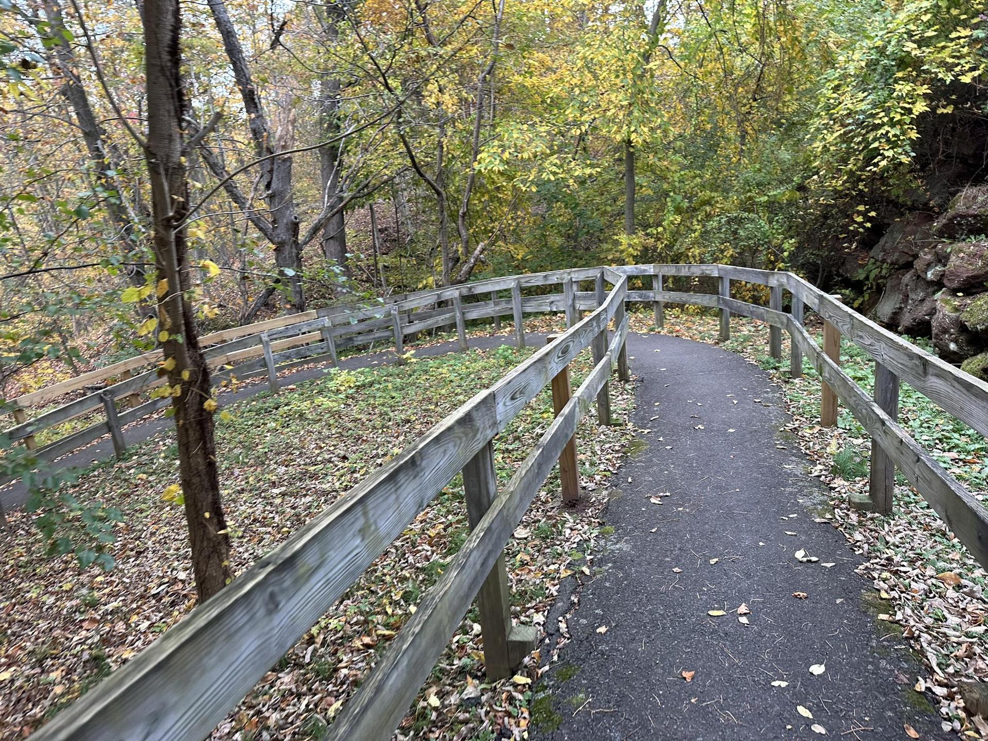Paved path with wooden railings winding through an autumn forest, dappled light.