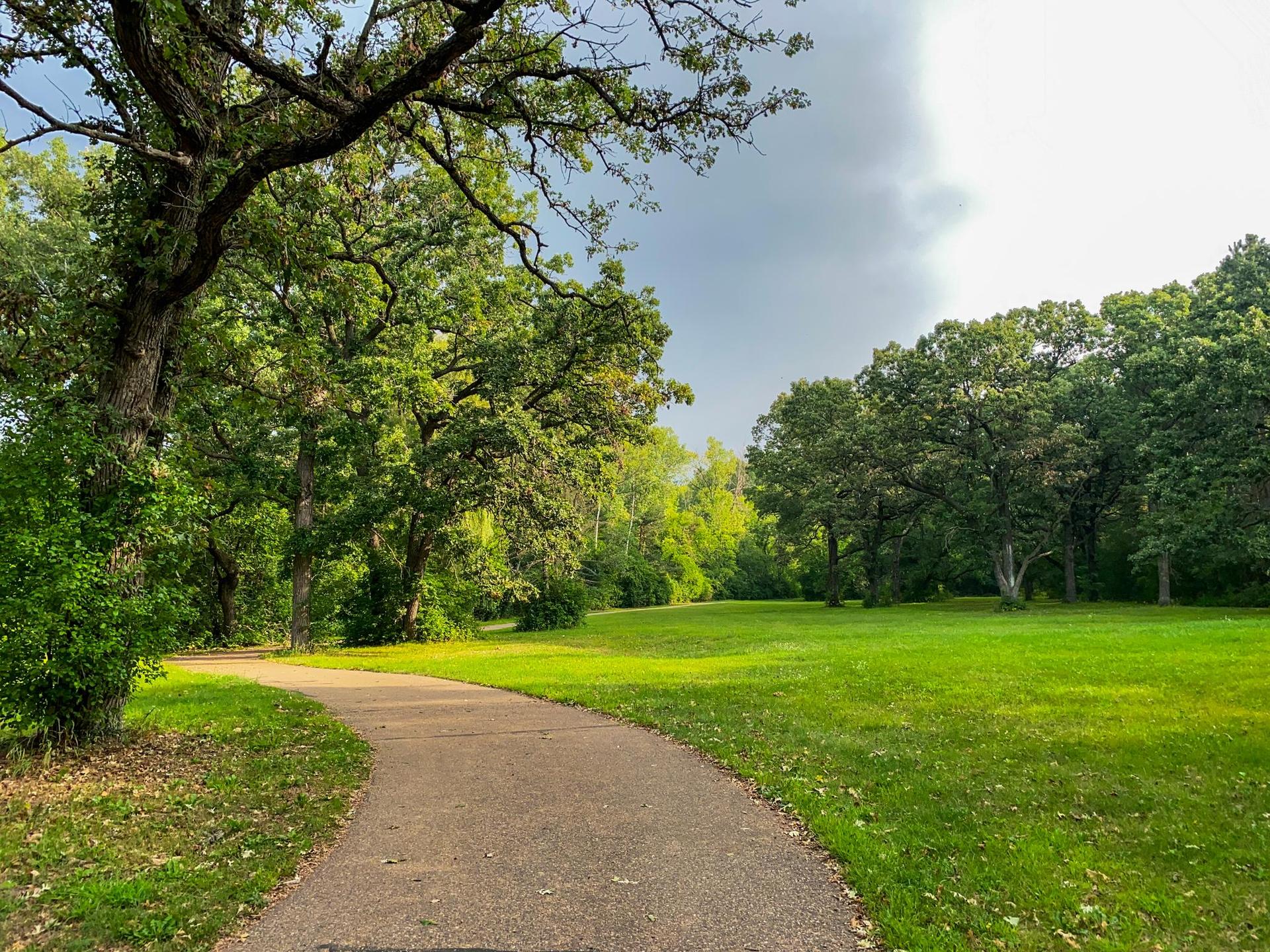 Paved path curves through a green park with trees under an overcast sky.