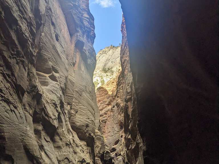Floating Rock via Zion Narrows Riverside Walk | escursione | komoot