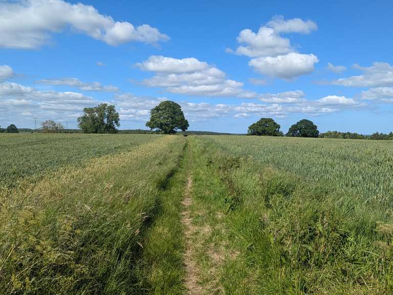 Bridleway Past Eachwick – Cycling Routes & How to Get There | Komoot