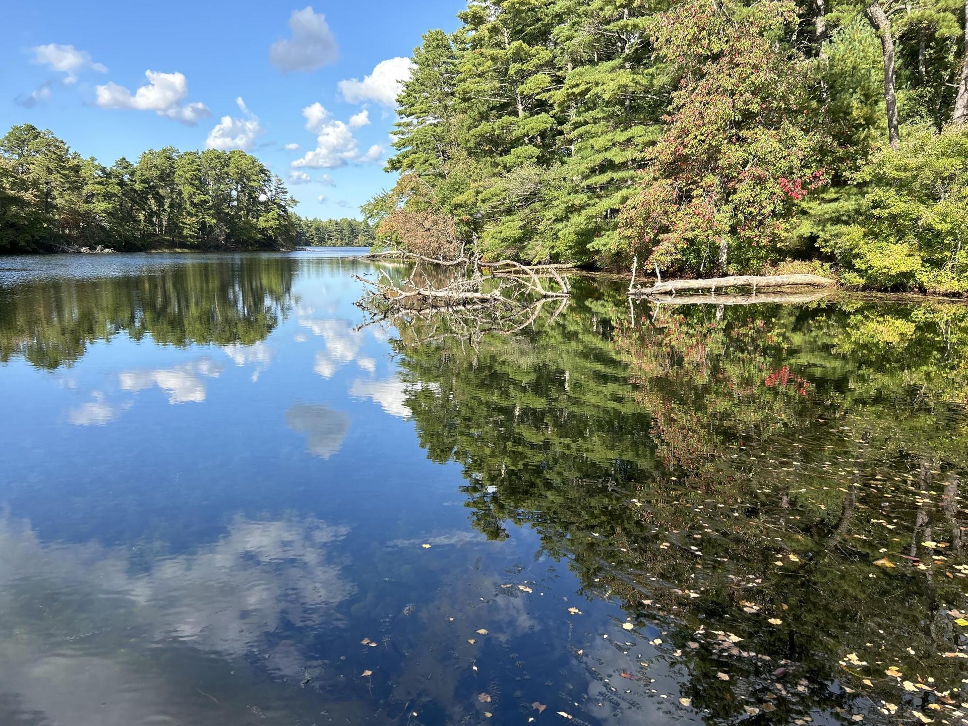 Calm lake reflecting blue sky and green trees, with dense forest banks.