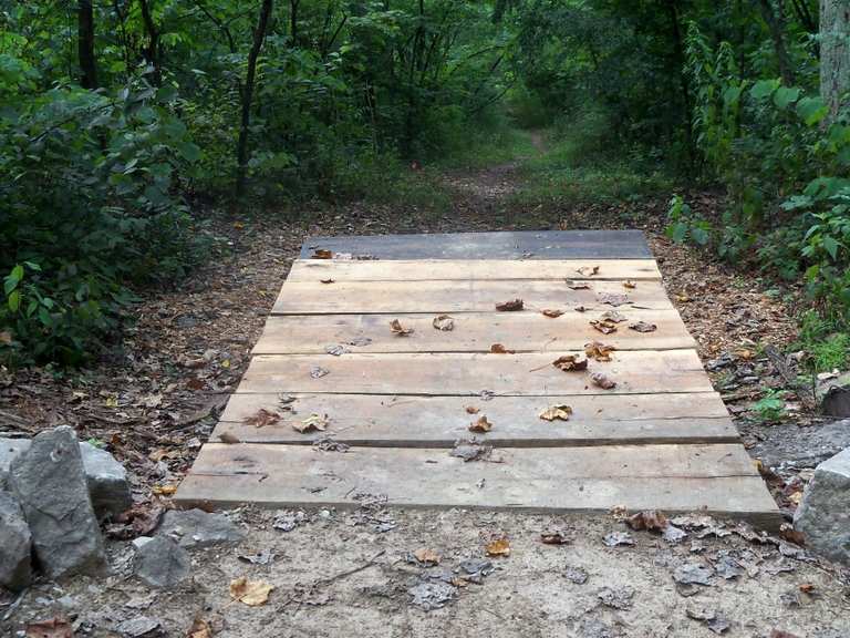 17+ Wapehani Mountain Bike Park