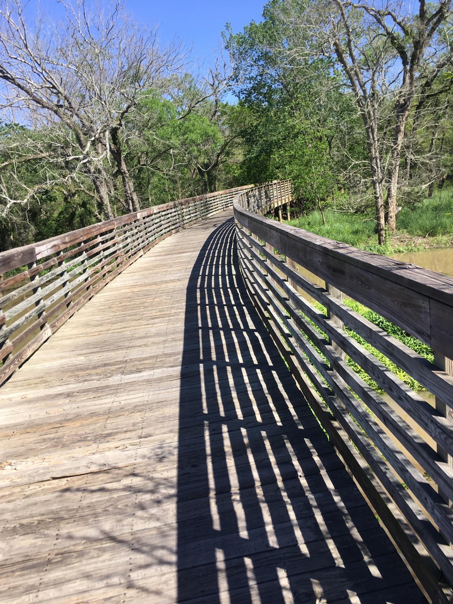 Winding wooden boardwalk with strong shadows from railings, surrounded by trees.