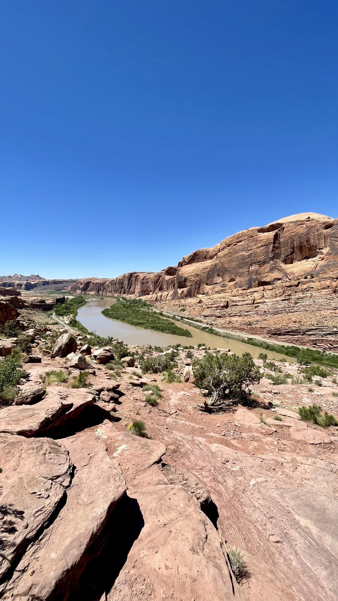 A muddy river flows through a deep red rock canyon on a sunny day.