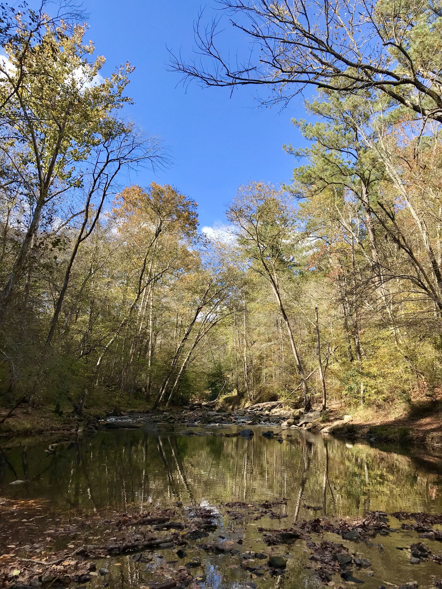 Sunlight illuminates a tranquil river surrounded by autumn trees under a clear blue sky. - Inspiration Trail