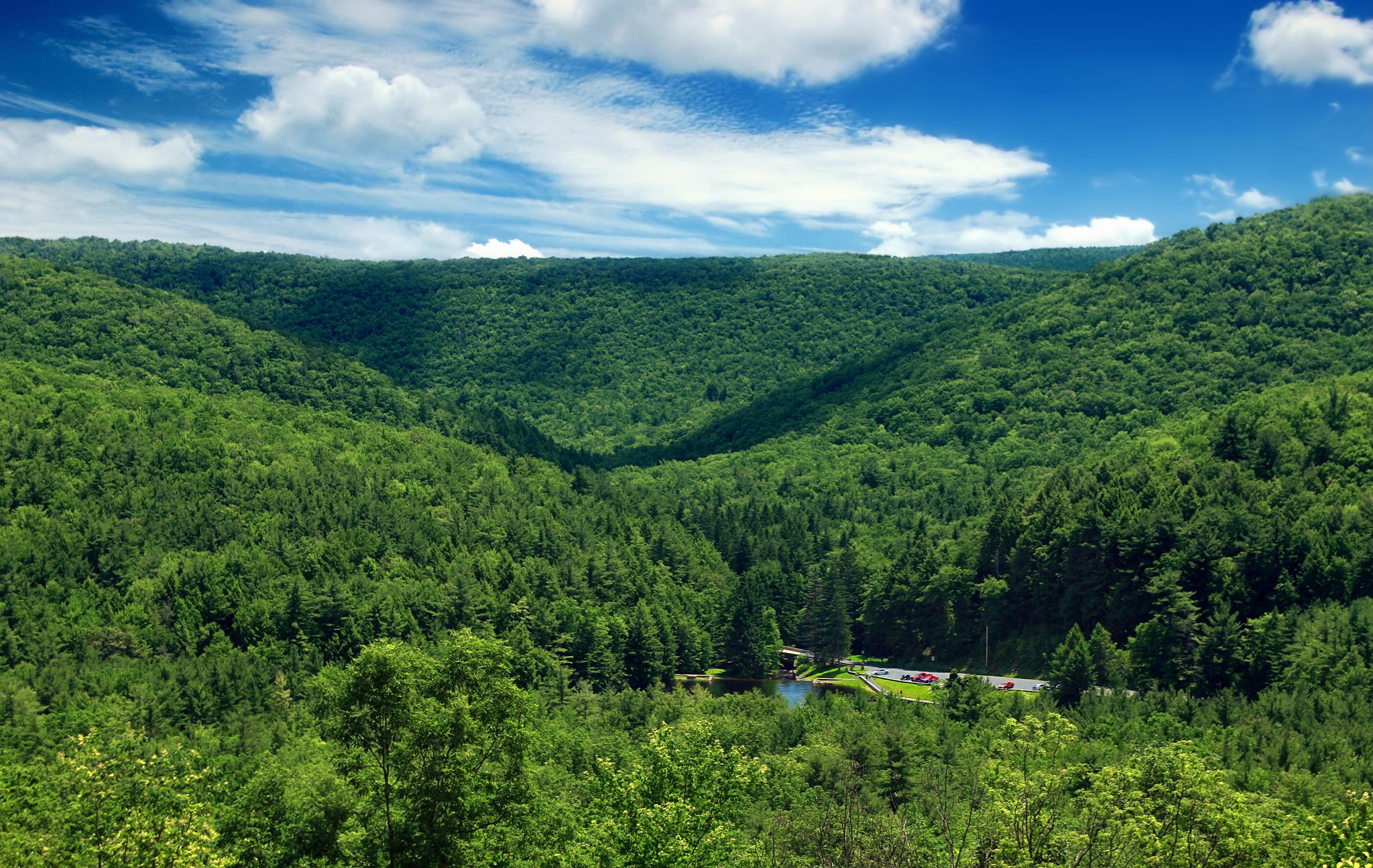 Lush green valley with dense forests under a bright blue sky. - Sand Mountain – Sand Mountain loop from R. B. Winter State Park
