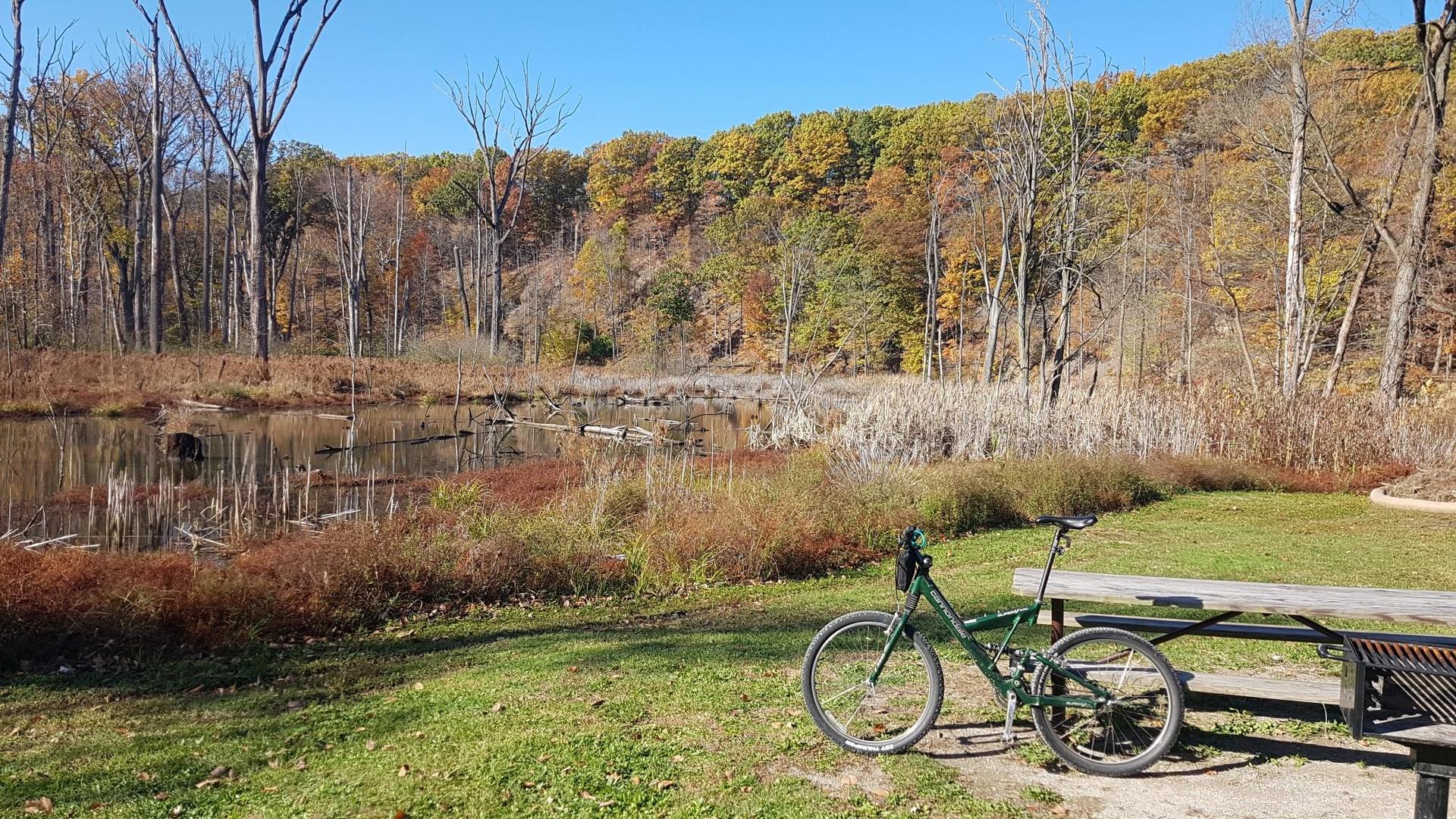 Green bicycle next to a pond with autumn trees under a bright blue sky.