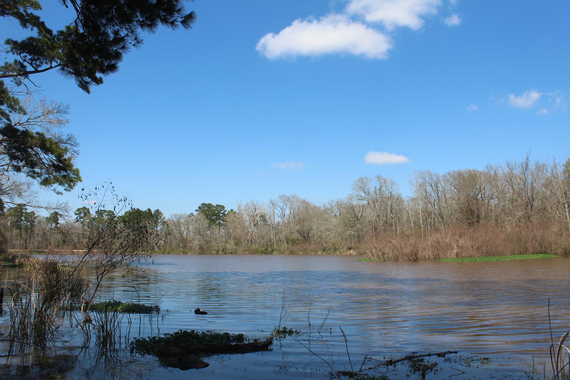 A wide river flows under a bright blue sky with a single cloud.