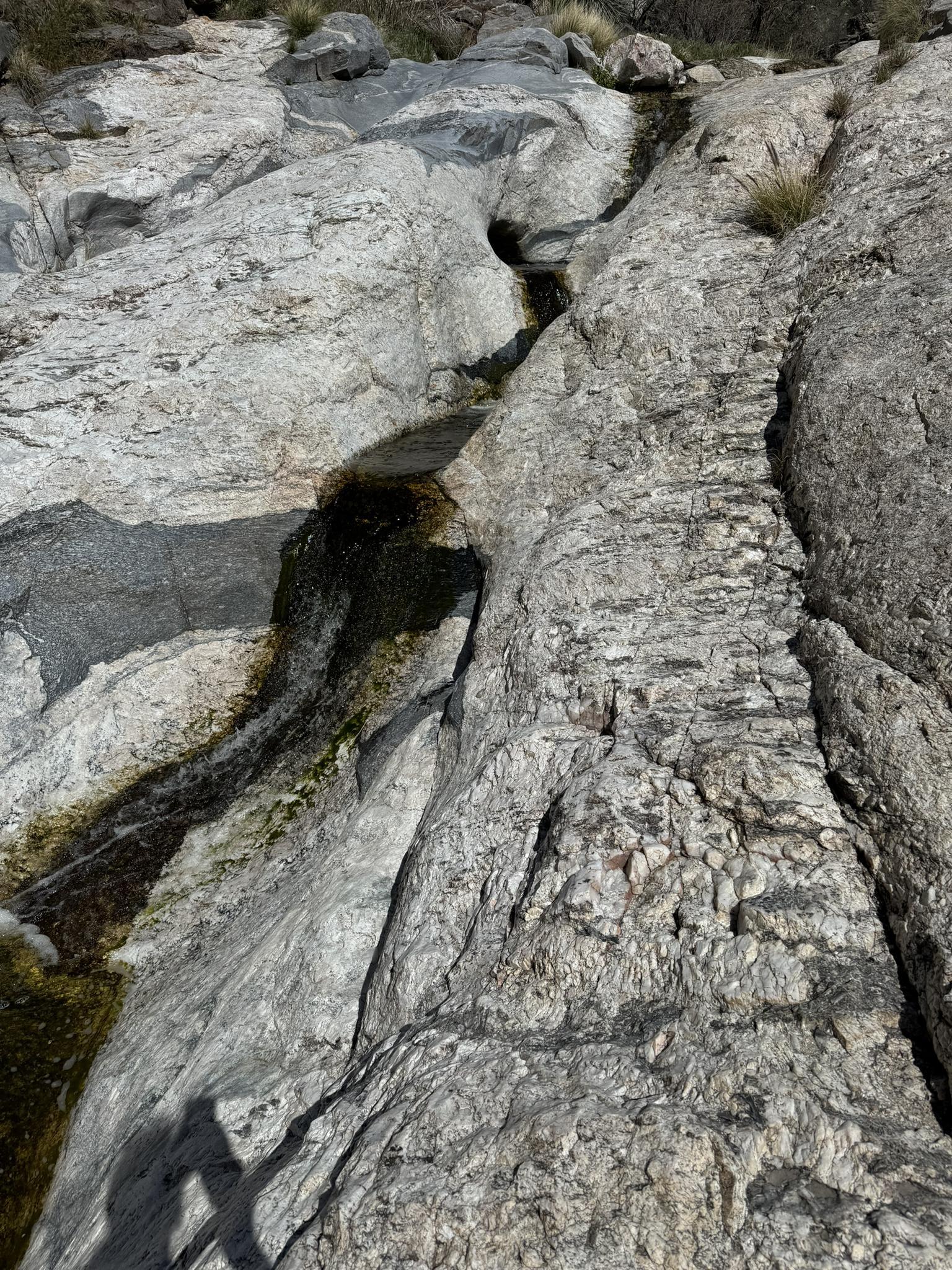 Close-up of water flowing over smooth, light-colored rocks.