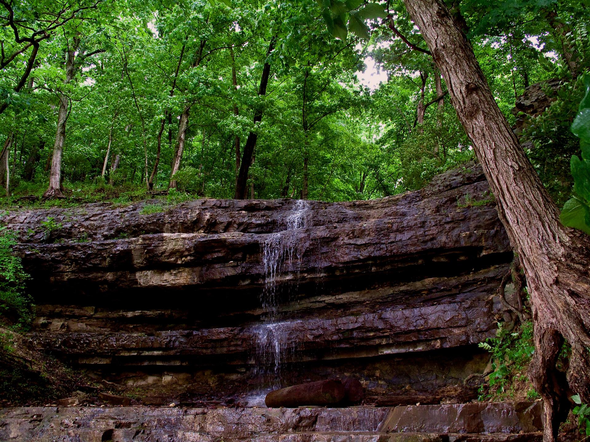 Small waterfall over dark layered rocks in a lush green forest.