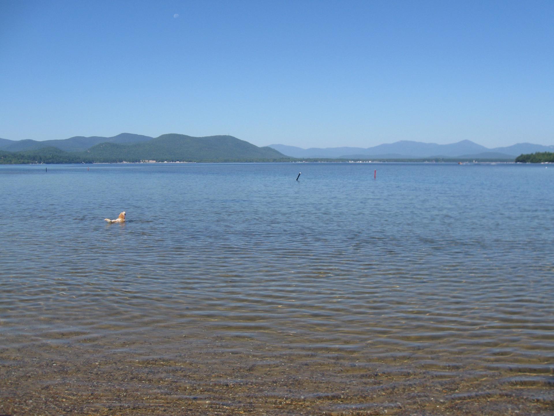 Person swimming in a clear lake with distant mountains under a bright blue sky.