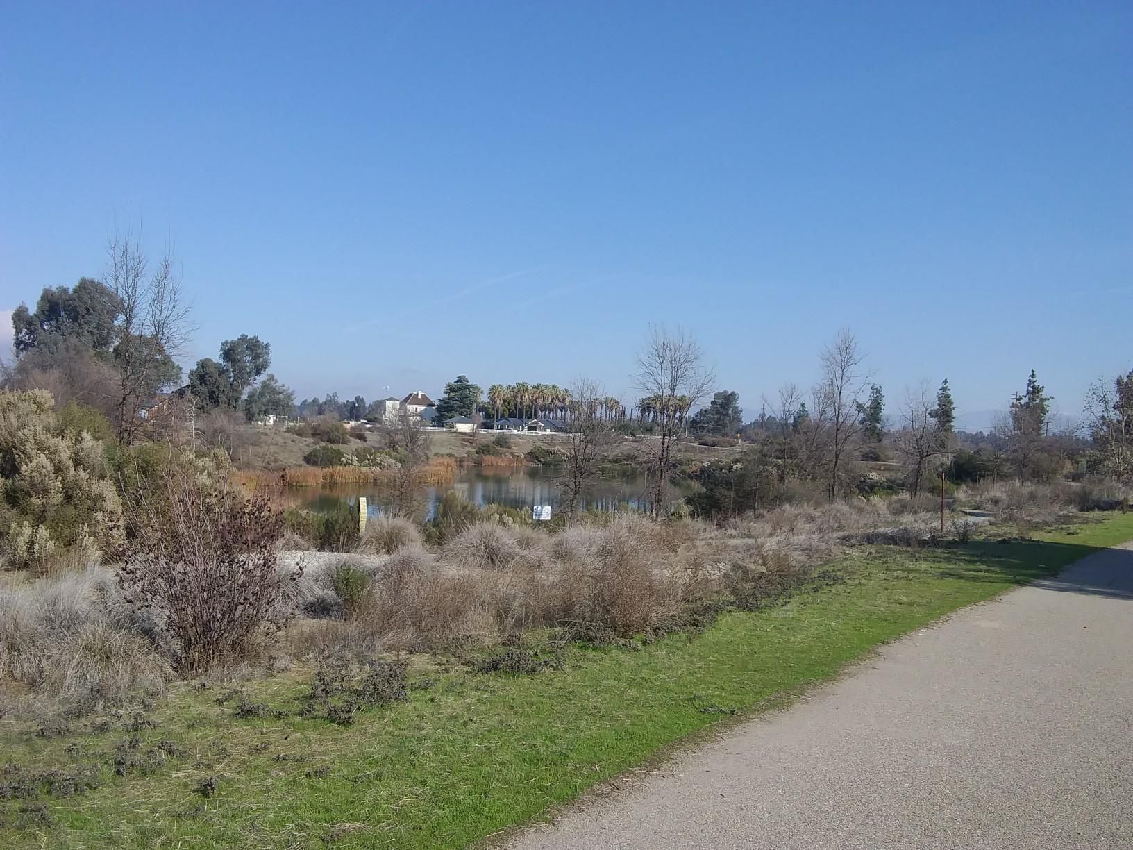 Paved path next to a pond with dry brush and trees under a clear sky. - Lewis S. Eaton Trail