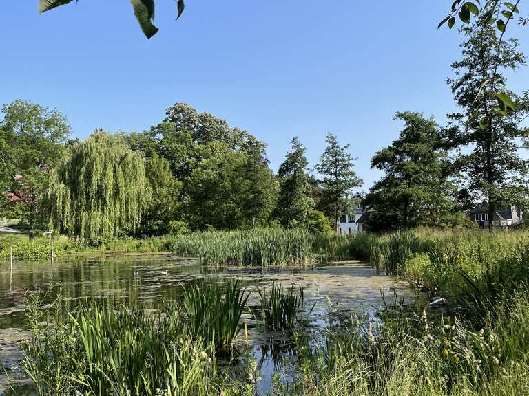 Kleines Biotop Wanderungen und Rundwege komoot