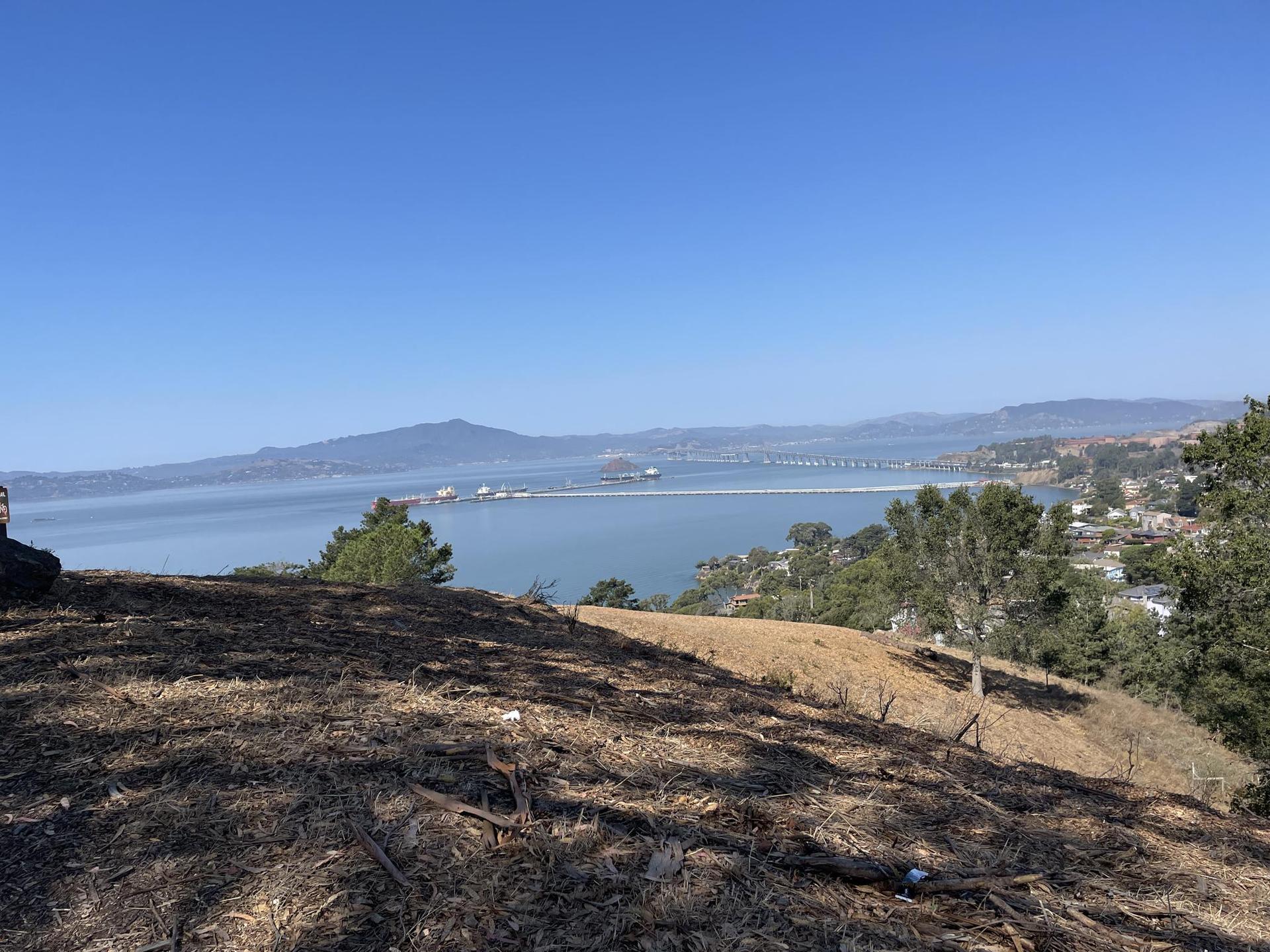 Elevated view of a bay, distant bridge, and city, with dry foreground.