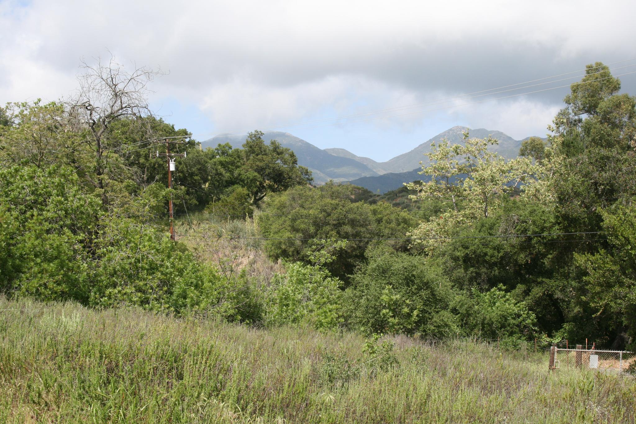 Overcast sky above a lush green landscape with distant mountains.