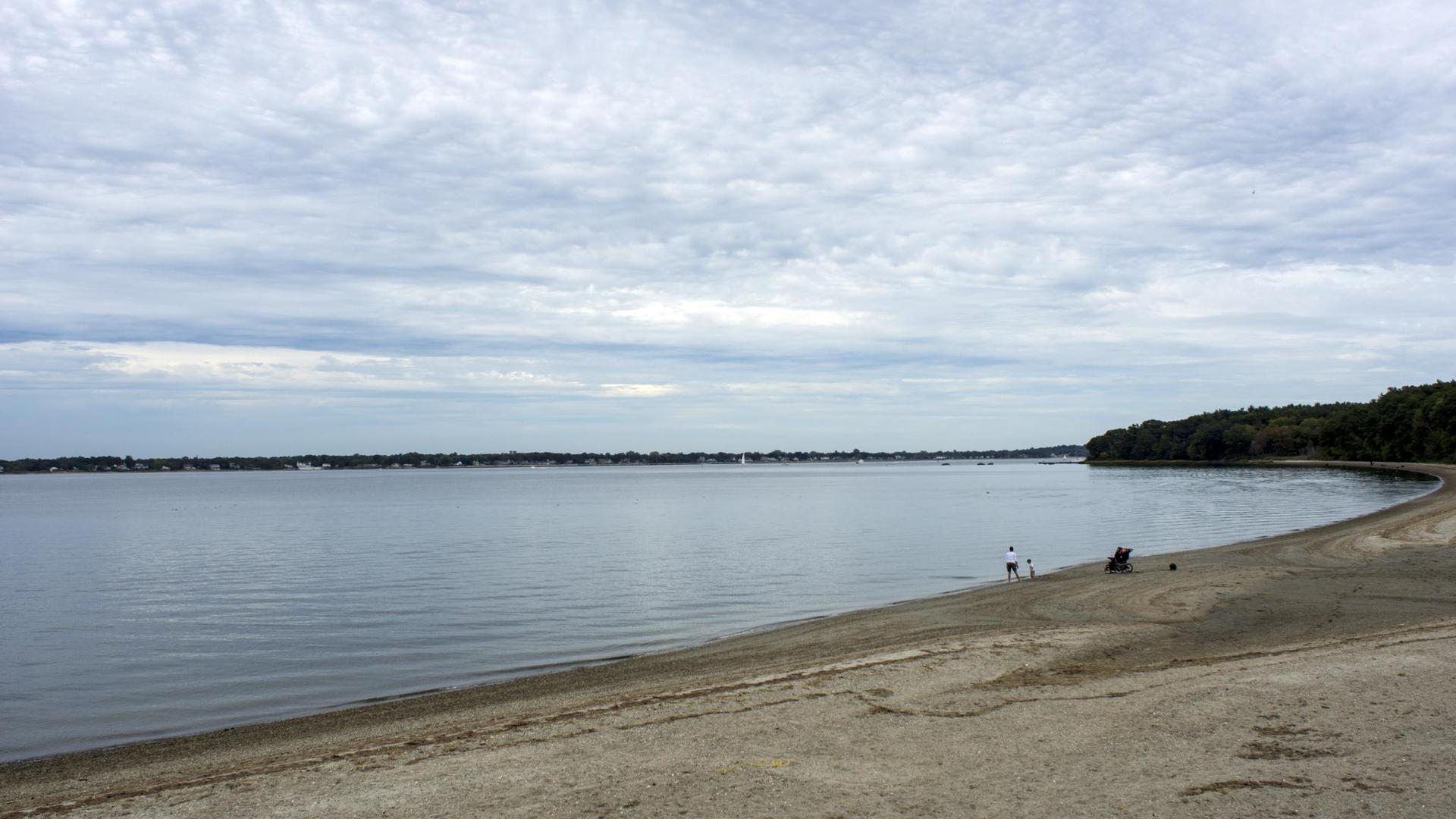 Overcast day over a calm lake, sandy beach with people, and distant treeline.