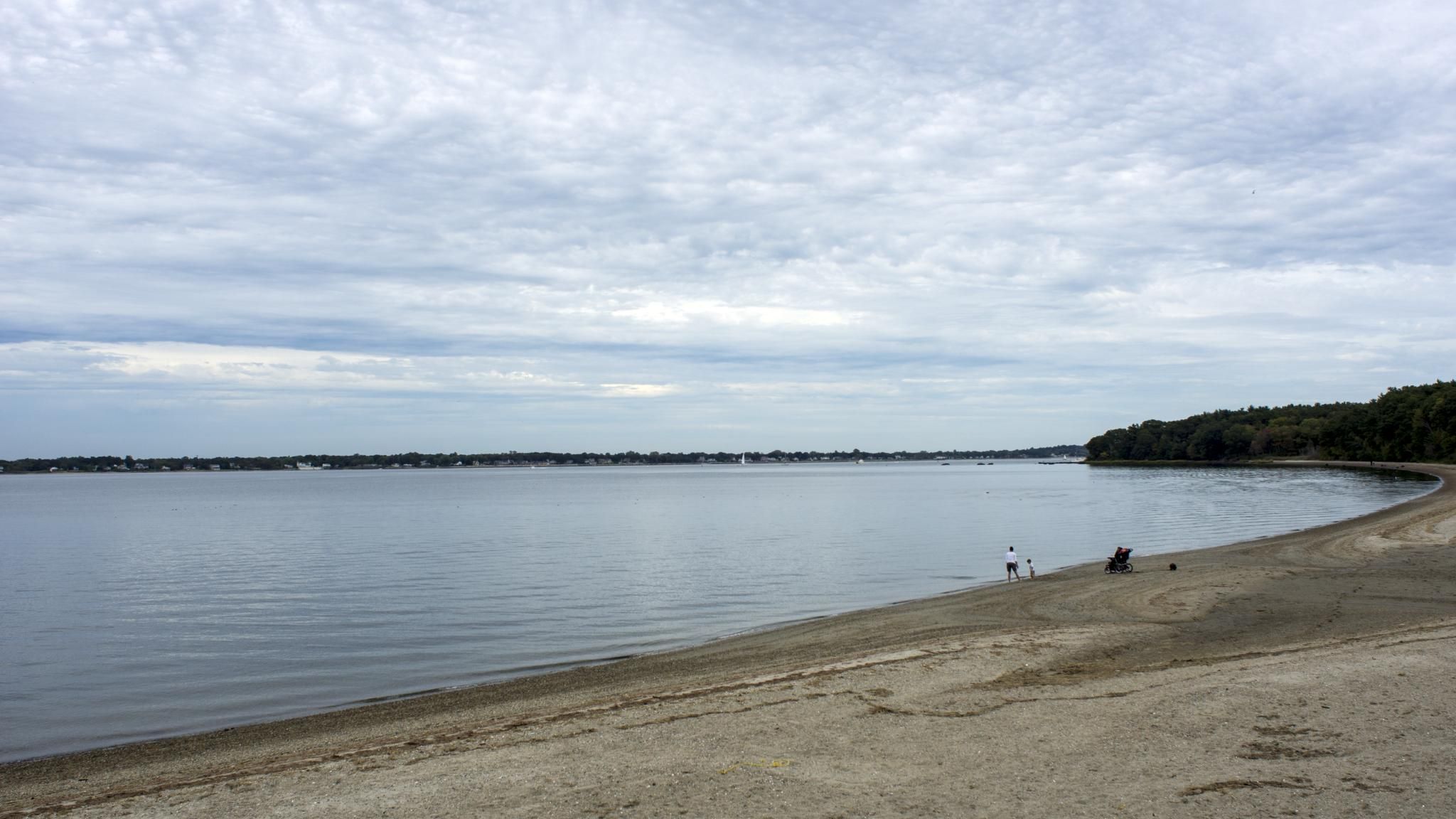 Overcast day over a calm lake, sandy beach with people, and distant treeline. - Goddard State Park loop