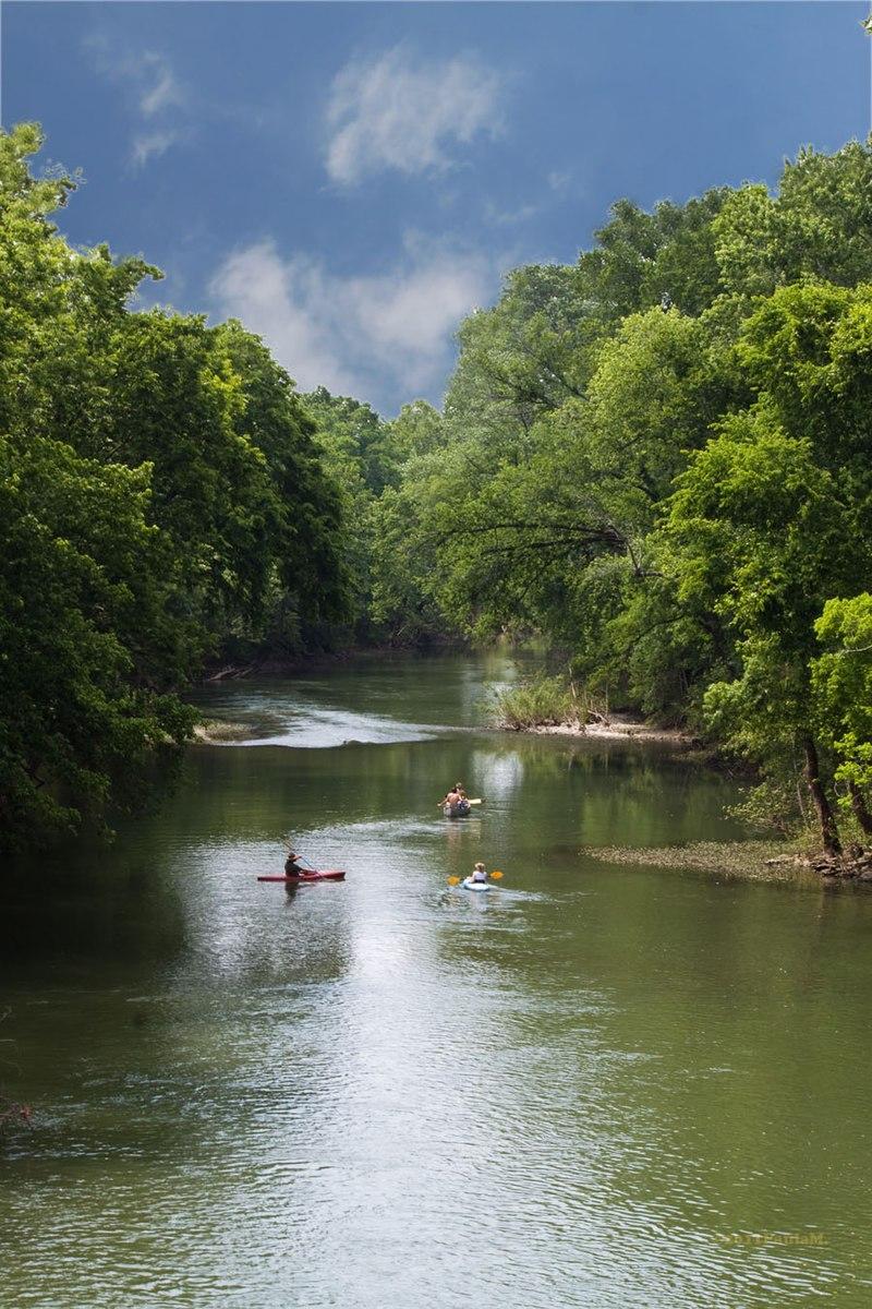 Three kayakers paddle on a calm river, surrounded by lush green trees.