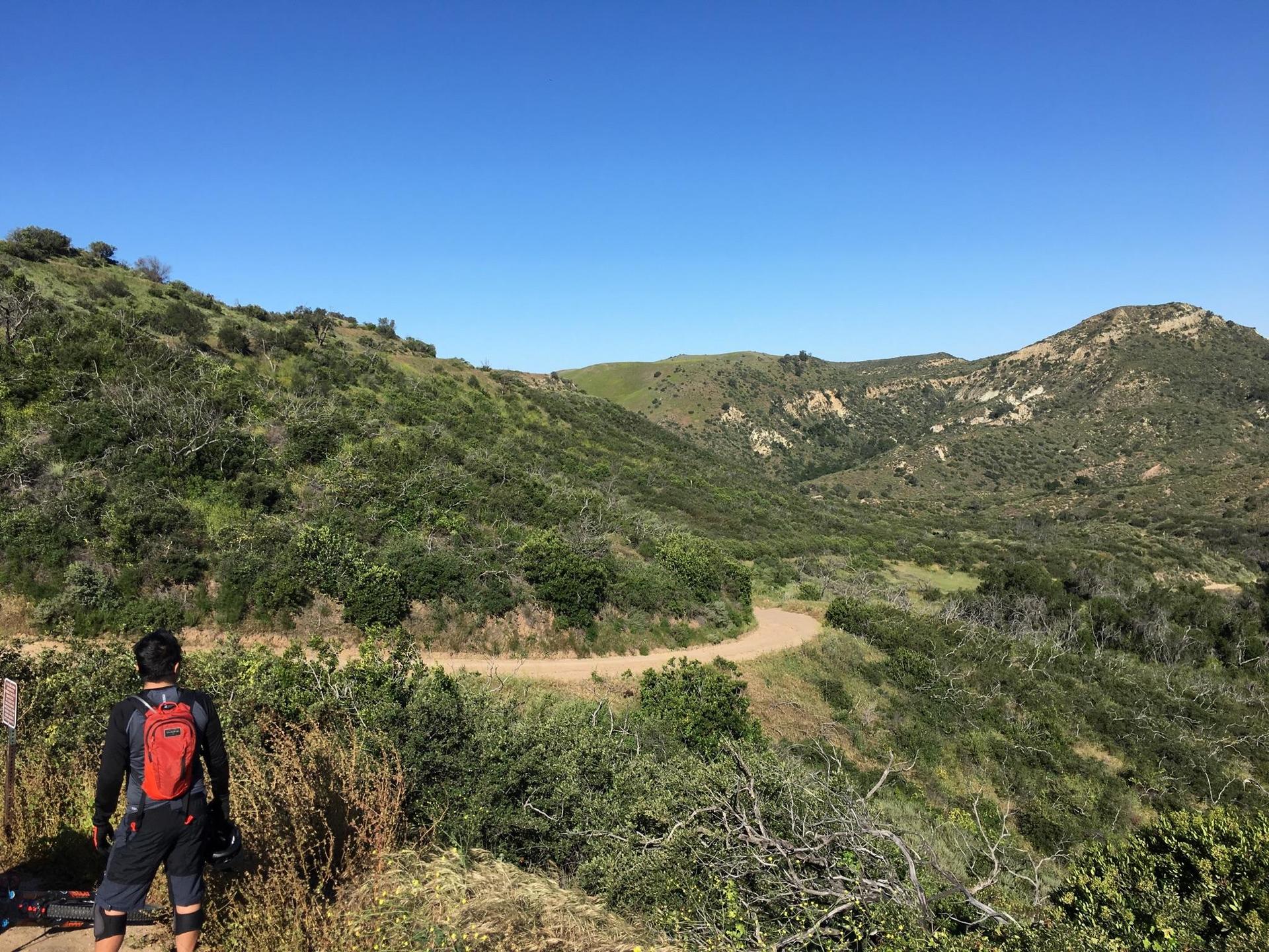 Hiker with red backpack overlooks a winding dirt trail through green hills.